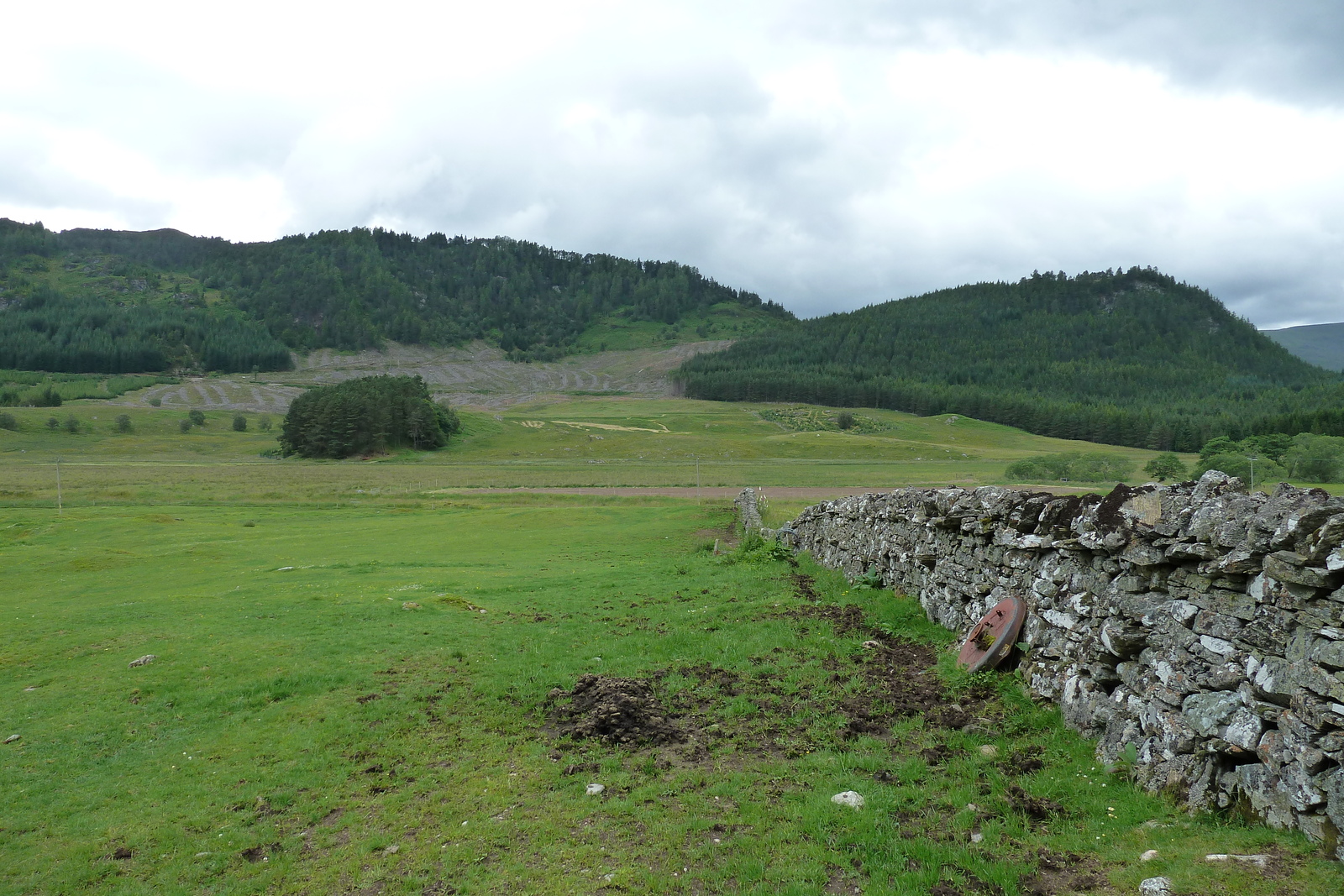 รูปถ่าย อังกฤษ(United Kingdom) สกอตแลนด์(Scotland) ถนนจากฟอร์เรสไปเอวีมอร์(Forres to Aviemore road) 2011-07 13
