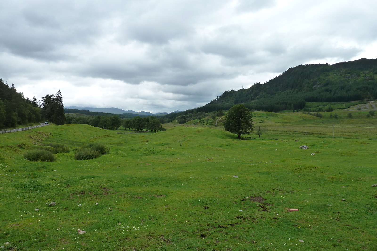 รูปถ่าย อังกฤษ(United Kingdom) สกอตแลนด์(Scotland) ถนนจากฟอร์เรสไปเอวีมอร์(Forres to Aviemore road) 2011-07 8