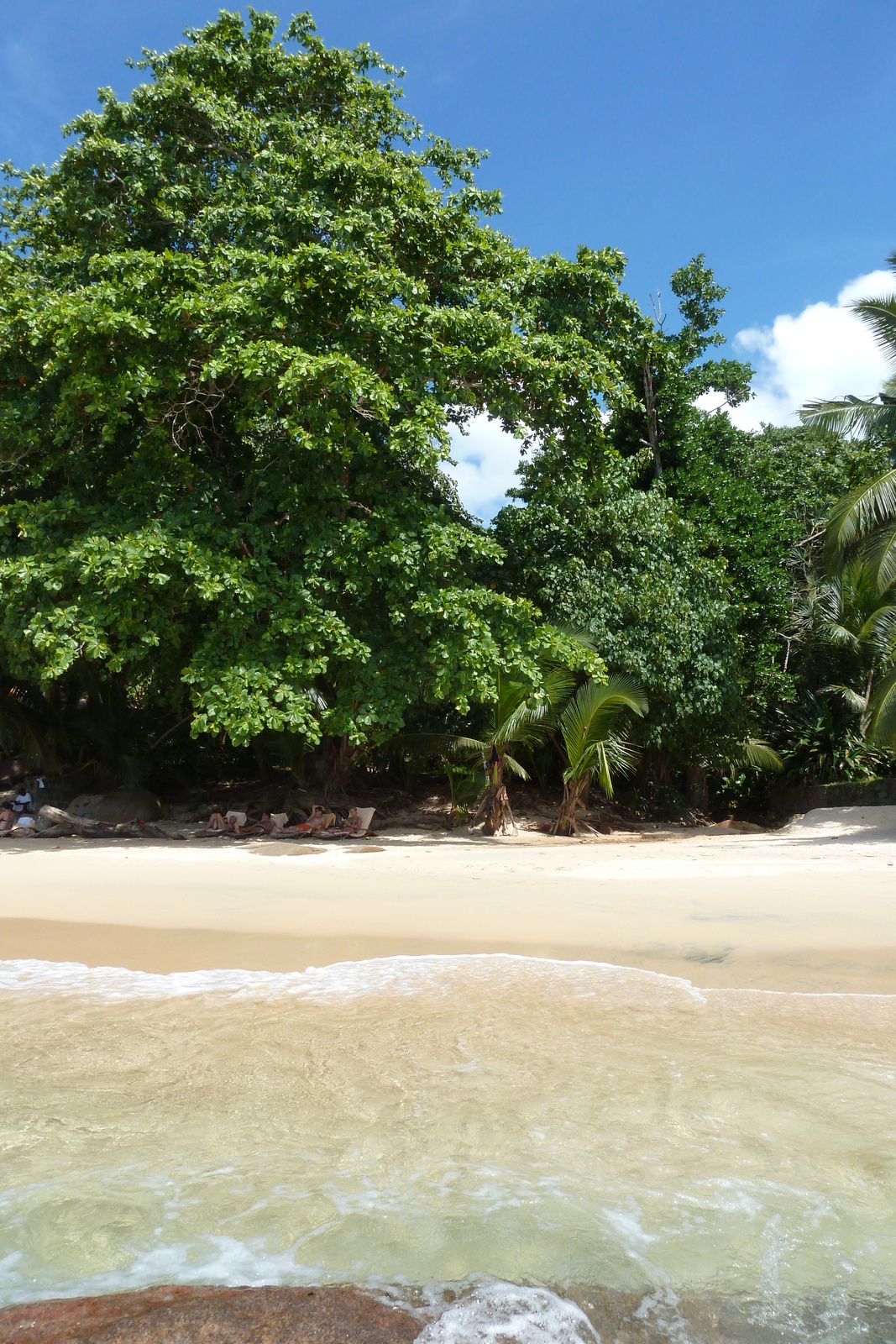 รูปถ่าย เซเชลส์(Seychelles) เกาะมาเฮ(Mahe) 2011-10 197