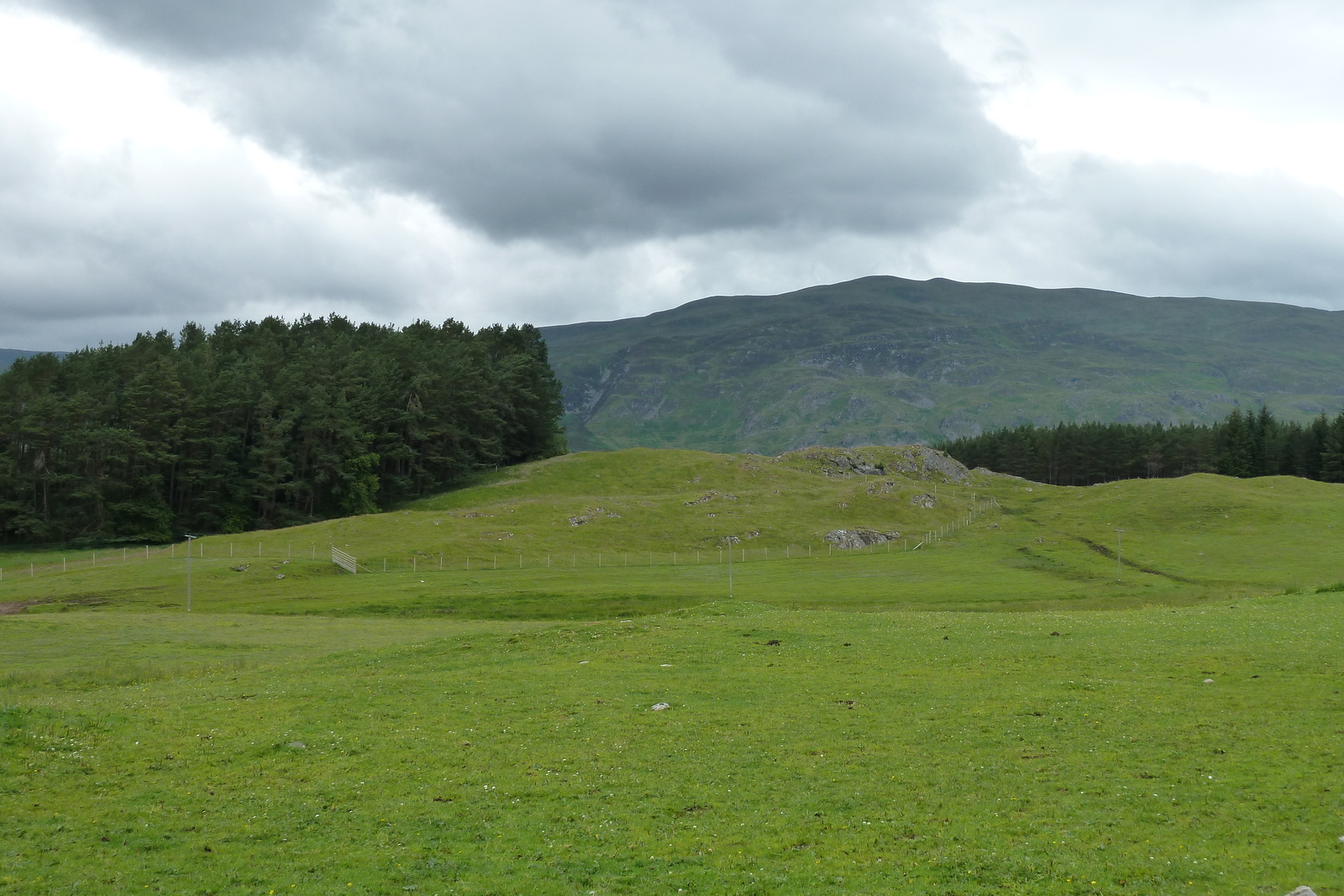 รูปถ่าย อังกฤษ(United Kingdom) สกอตแลนด์(Scotland) ถนนจากฟอร์เรสไปเอวีมอร์(Forres to Aviemore road) 2011-07 6