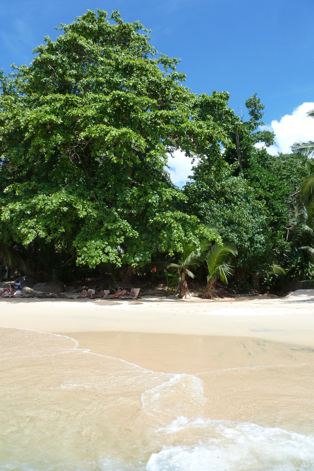 รูปถ่าย เซเชลส์(Seychelles) เกาะมาเฮ(Mahe) 2011-10 190