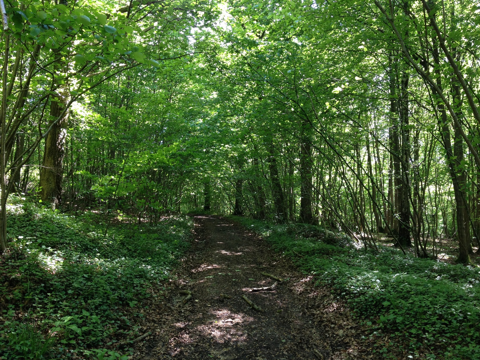 รูปถ่าย ฝรั่งเศส(France) ลียงส์-ลา-ฟอแร(Lyons La Foret) 2014-05 115