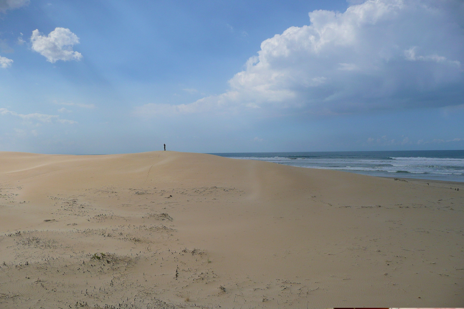 รูปถ่าย แอฟริกาใต้(South Africa) แม่น้ำซันเดส์(Sundays River) 2008-09 27