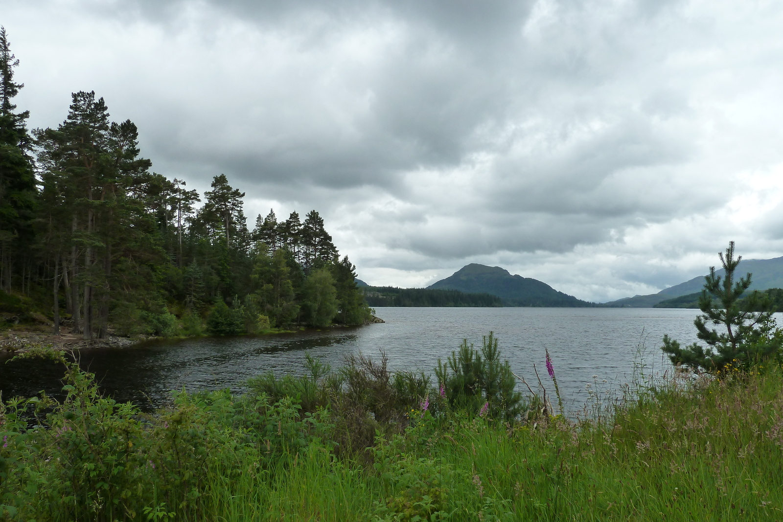 รูปถ่าย อังกฤษ(United Kingdom) สกอตแลนด์(Scotland) ถนนจากเอวีมอร์ไปทะเลสาบลอคลากัน(Aviemore to Loch Laggan road) 2011-07 15
