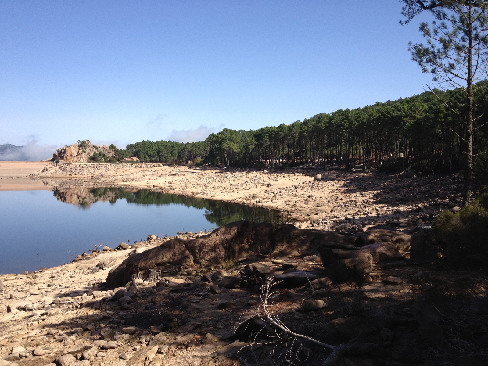 รูปถ่าย ฝรั่งเศส(France) คอร์สิคา(Corsica) ป่าลอสเปดาเล(L'ospedale Forest) 2012-09 46