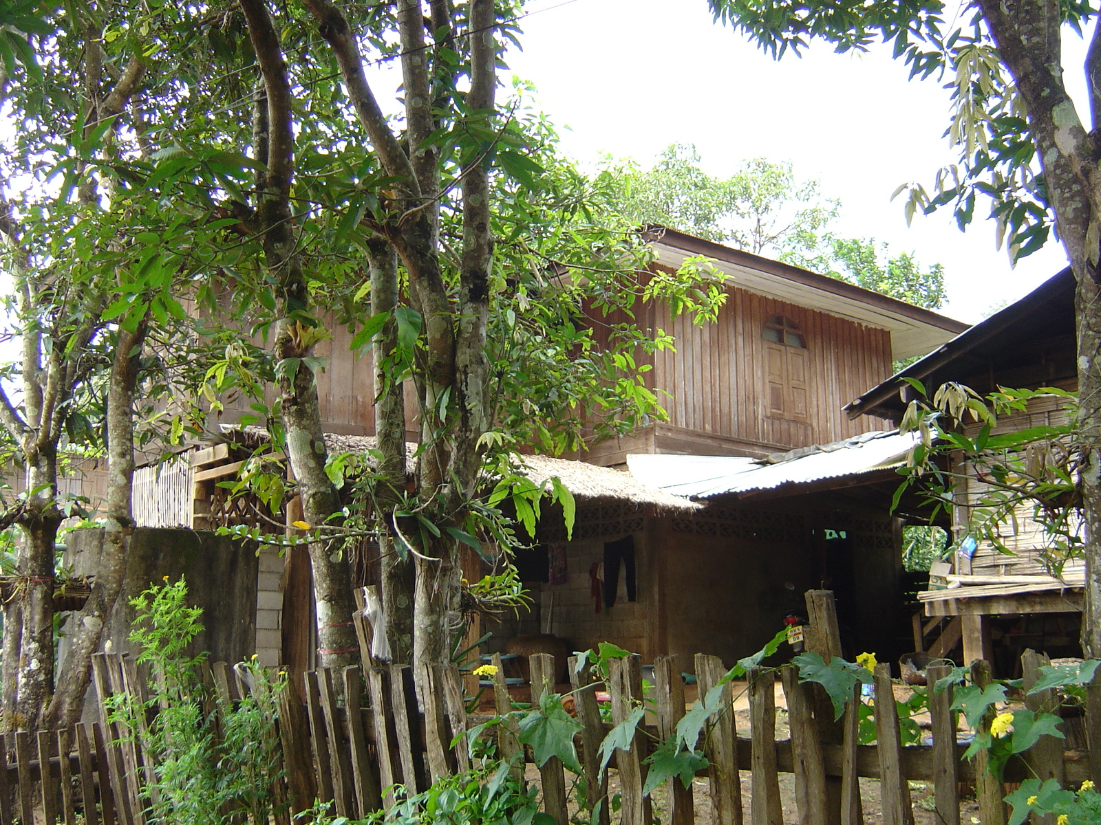 รูปถ่าย ไทย(Thailand) แม่ฮ่องสอน(Mae Hong Son) 2004-10 1