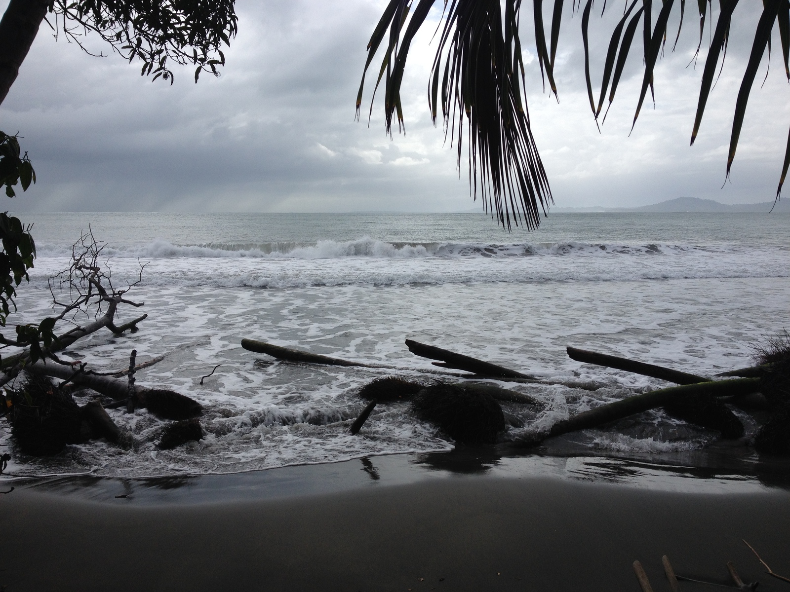 รูปถ่าย คอสตาริกา(Costa Rica) กาอุยตา(Cahuita) 2015-03 82