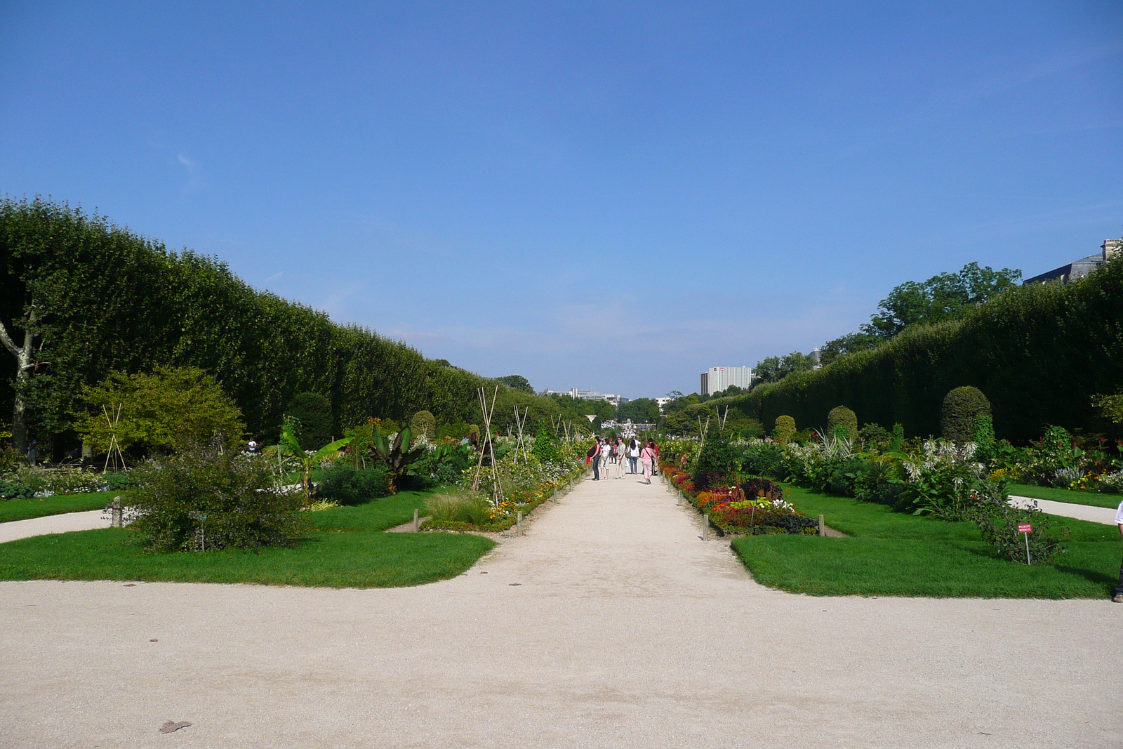 รูปถ่าย ฝรั่งเศส(France) ปารีส(Paris) สวนพันธ์ุพืช(Jardin des Plantes) 2007-08 19