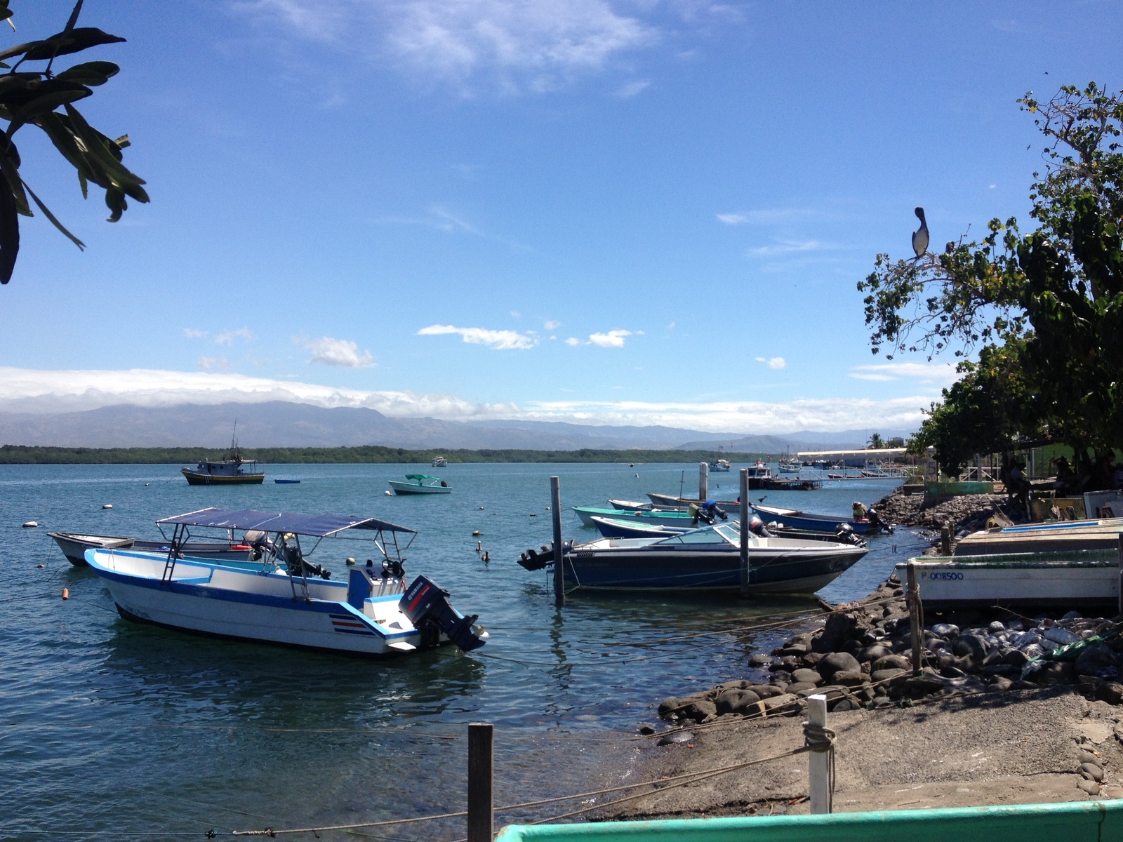 รูปถ่าย คอสตาริกา(Costa Rica) ปุนตาเรนัส(Puntarenas) 2015-03 174