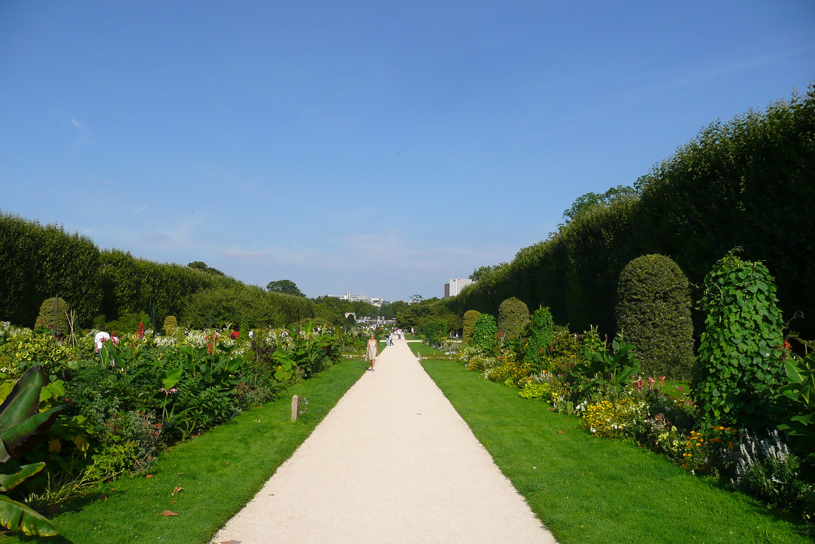 รูปถ่าย ฝรั่งเศส(France) ปารีส(Paris) สวนพันธ์ุพืช(Jardin des Plantes) 2007-08 22