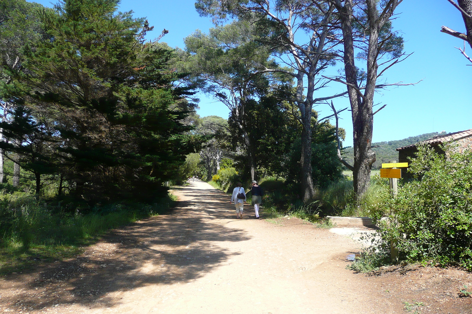 รูปถ่าย ฝรั่งเศส(France) เกาะปอร์เกอรอล(Porquerolles Island) ที่ราบกูร์ตาด(Plaine de la courtade) 2008-05 13