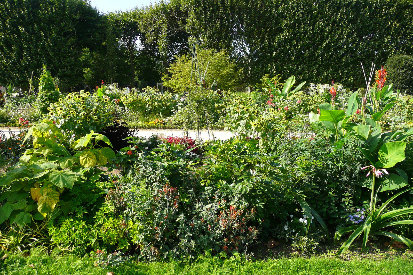 รูปถ่าย ฝรั่งเศส(France) ปารีส(Paris) สวนพันธ์ุพืช(Jardin des Plantes) 2007-08 8