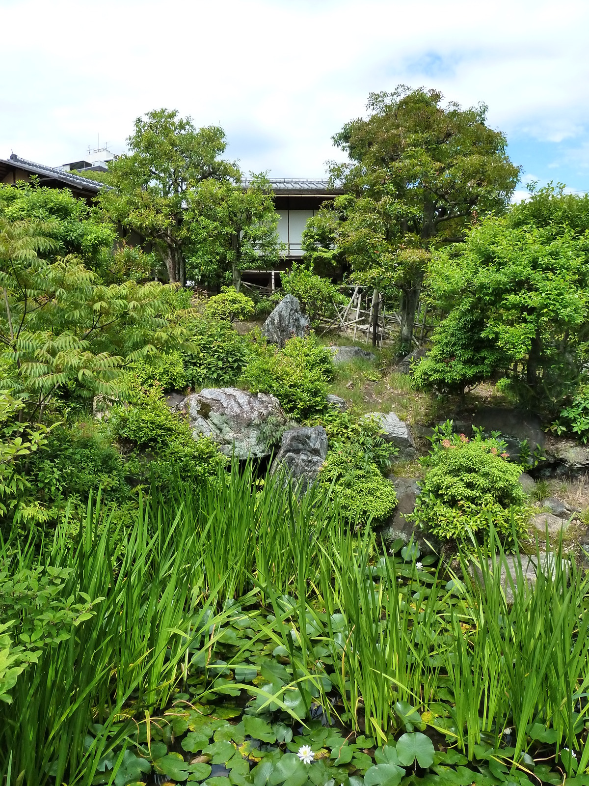 รูปถ่าย ญี่ปุ่น(Japan) เกียวโต(Kyoto) สวนโชเซเอ็ง(Shosei en Garden) 2010-06 73