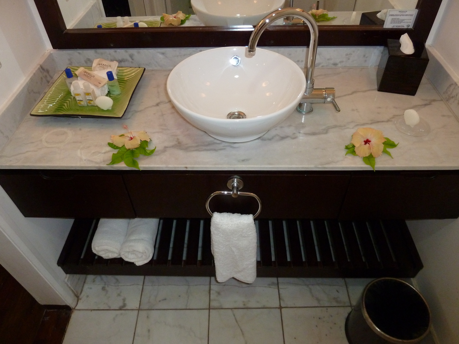 รูปถ่าย ฟิจิ(Fiji) รีสอร์ตเกาะอามูนูกา(Amunuca Island Resort) 2010-05 89