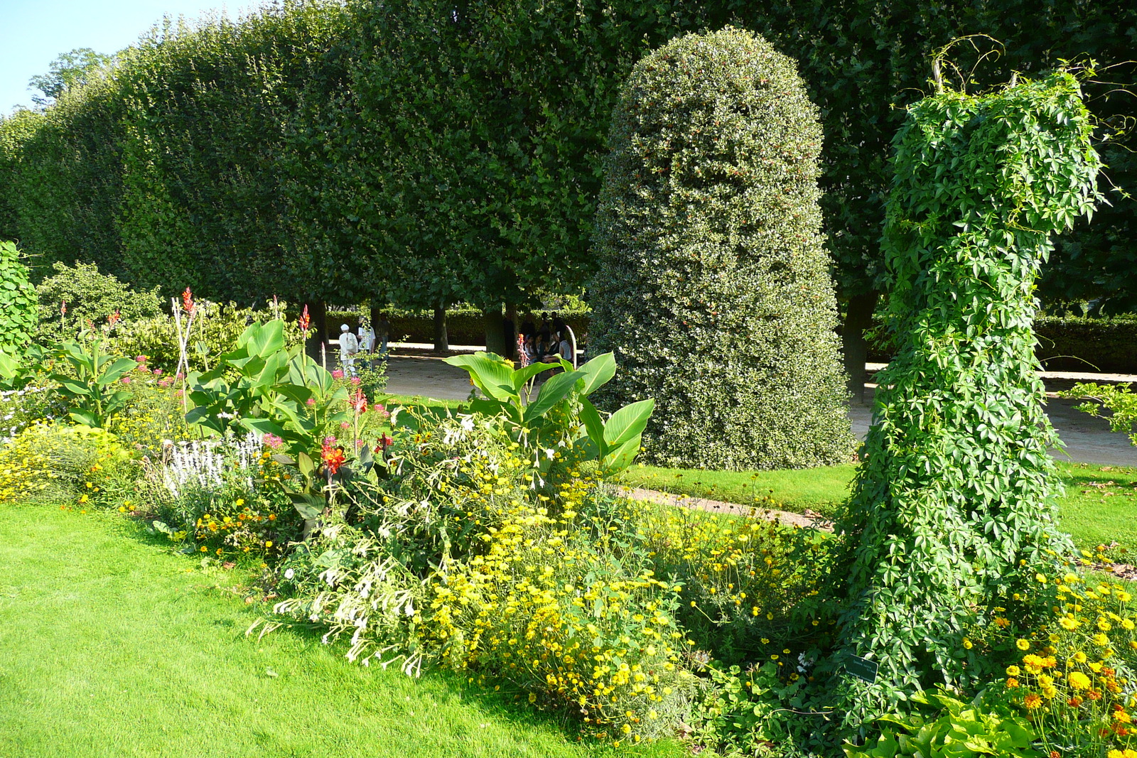 รูปถ่าย ฝรั่งเศส(France) ปารีส(Paris) สวนพันธ์ุพืช(Jardin des Plantes) 2007-08 4