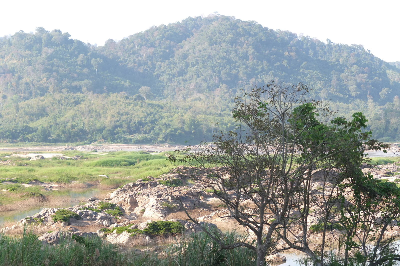 รูปถ่าย ไทย(Thailand) แม่น้ำโขง(Mekong river) 2012-12 233