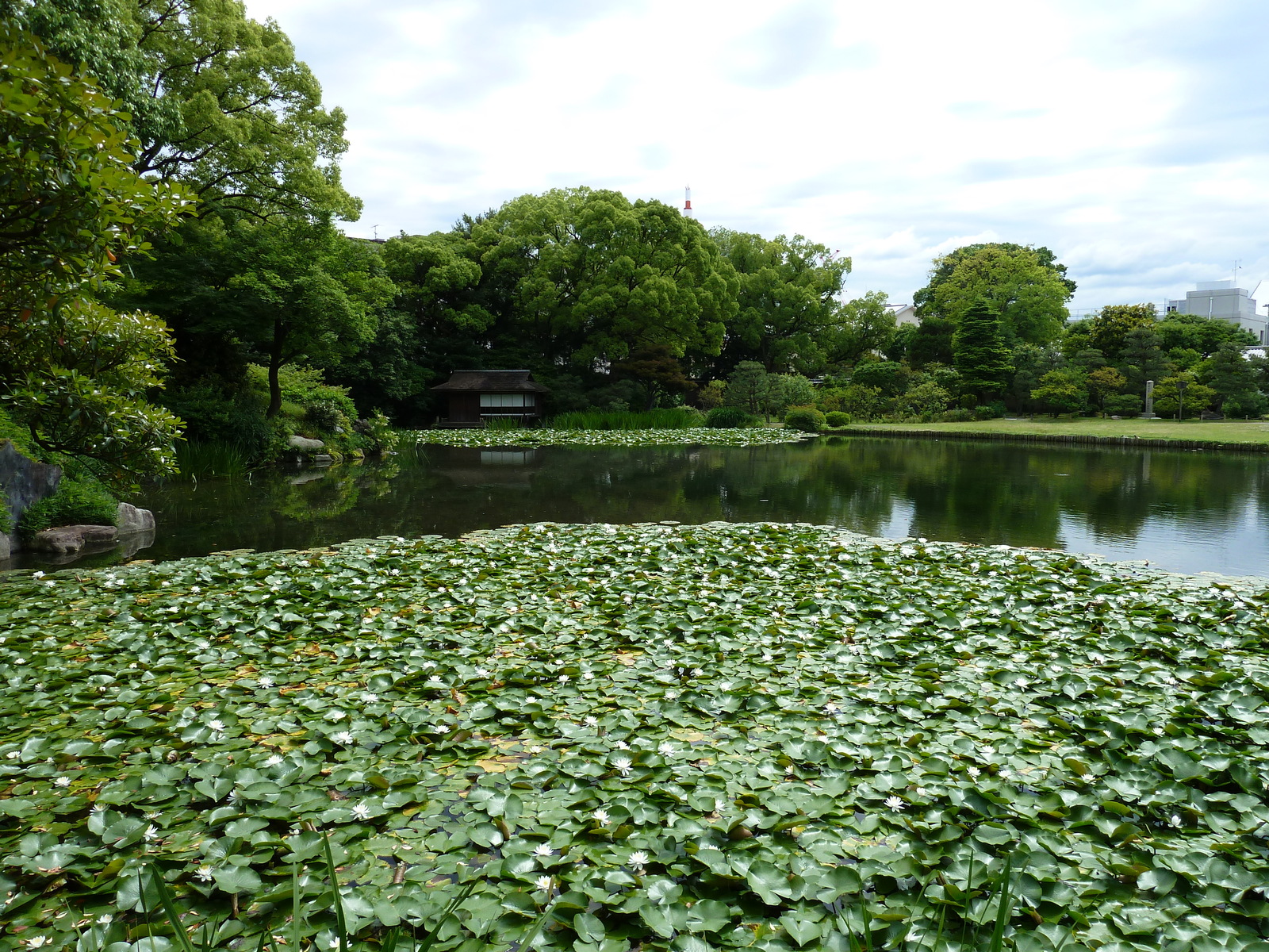 รูปถ่าย ญี่ปุ่น(Japan) เกียวโต(Kyoto) สวนโชเซเอ็ง(Shosei en Garden) 2010-06 71