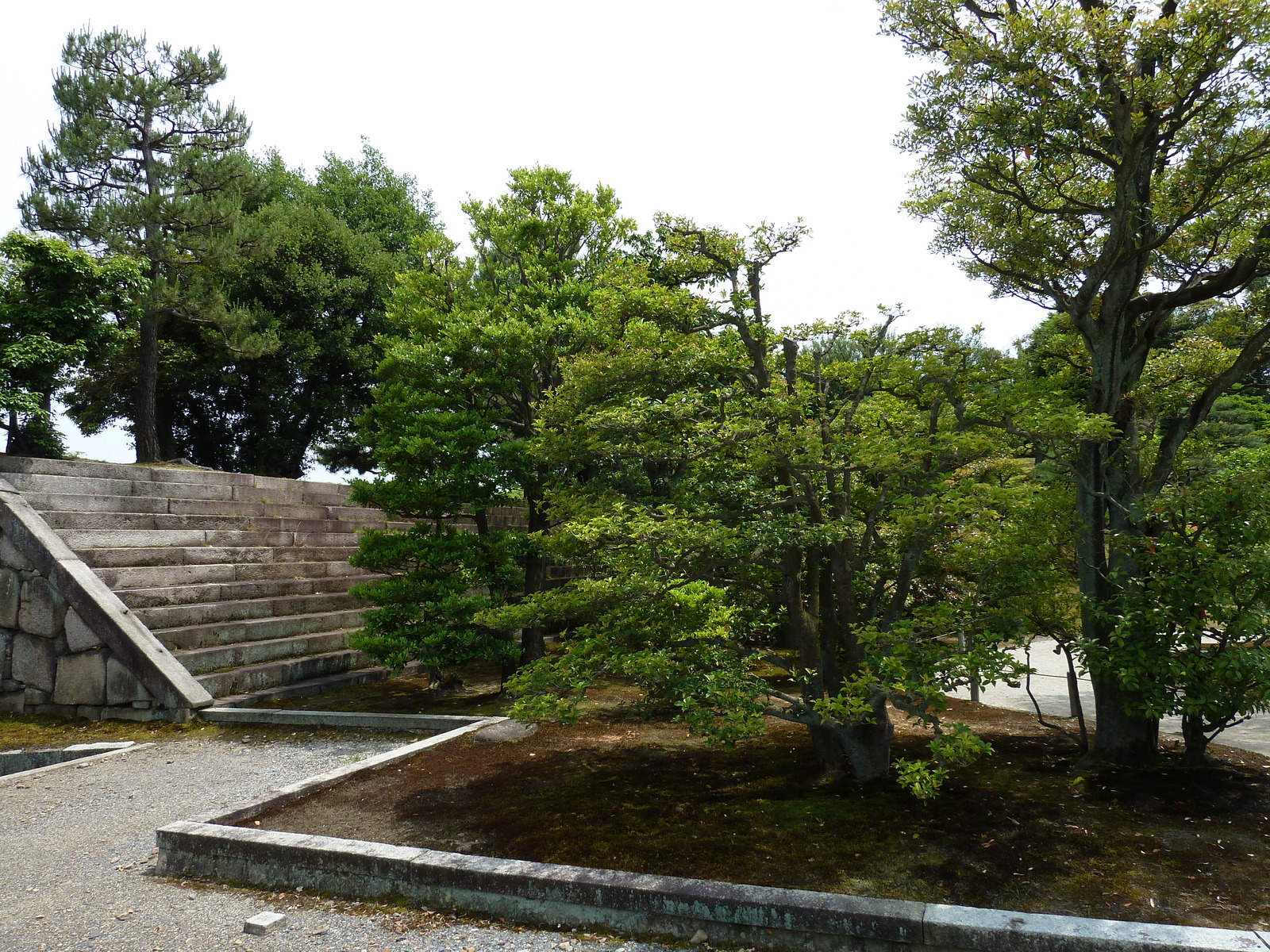 รูปถ่าย ญี่ปุ่น(Japan) เกียวโต(Kyoto) ปราสาทนิโจ(Nijo Castle) พระราชวังฮมมะรุ(Honmaru Palace) 2010-06 38