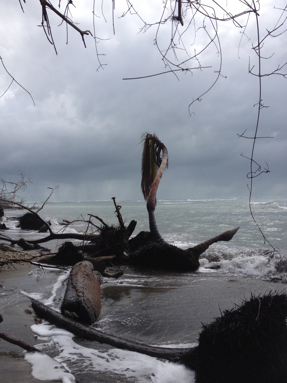 รูปถ่าย คอสตาริกา(Costa Rica) 2015-03 50