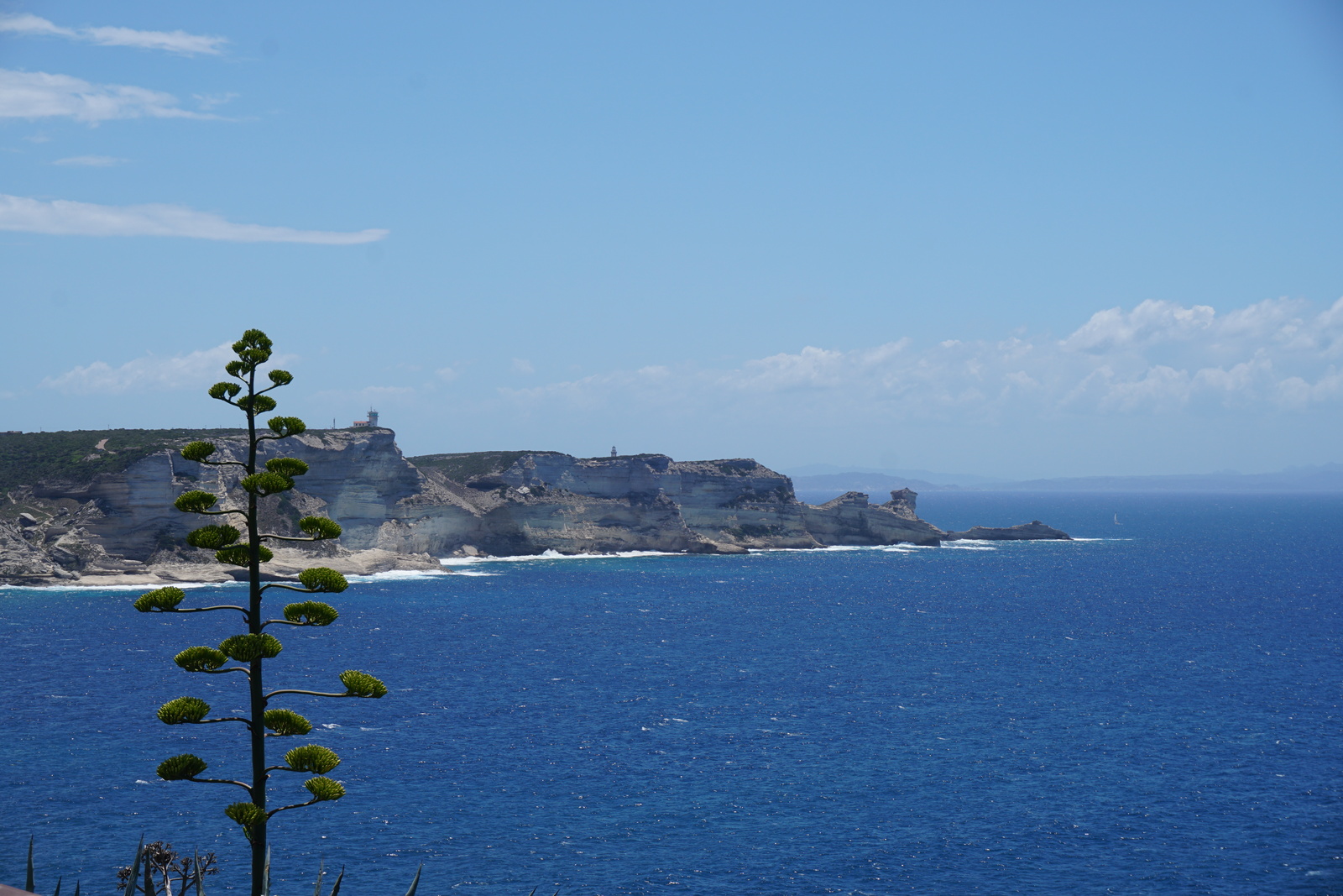 รูปถ่าย ฝรั่งเศส(France) คอร์สิคา(Corsica) โบนีฟาซีโอ(Bonifacio) 2017-07 45