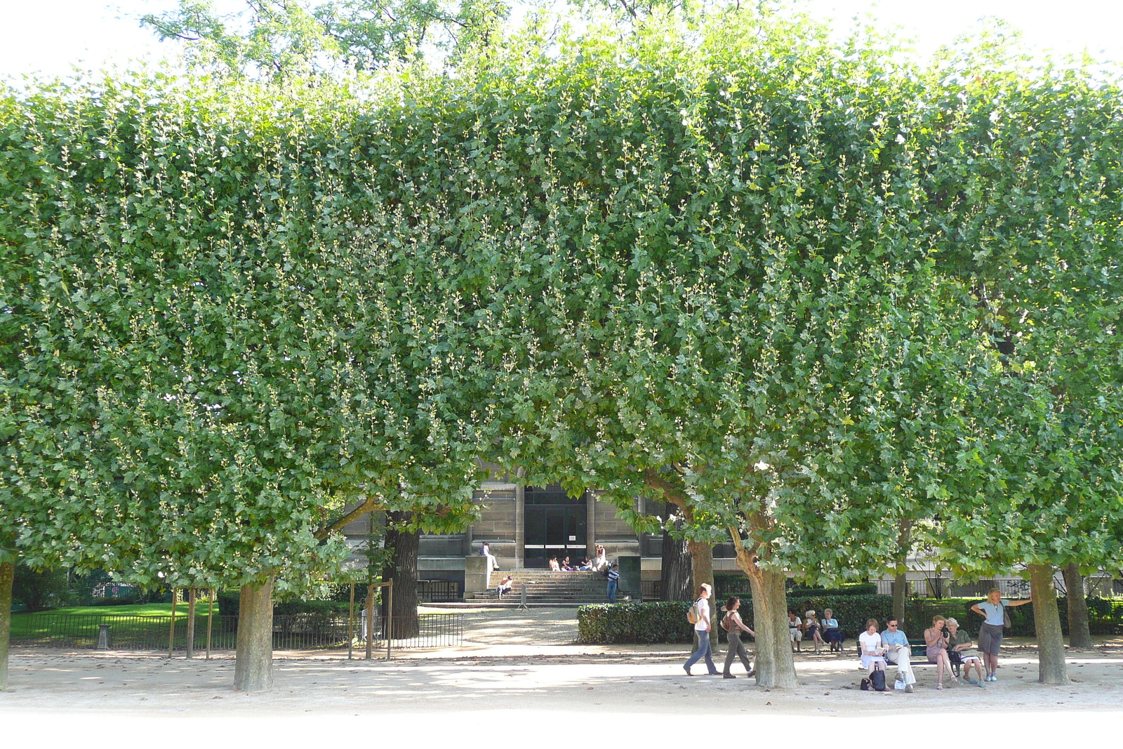รูปถ่าย ฝรั่งเศส(France) ปารีส(Paris) สวนพันธ์ุพืช(Jardin des Plantes) 2007-08 187