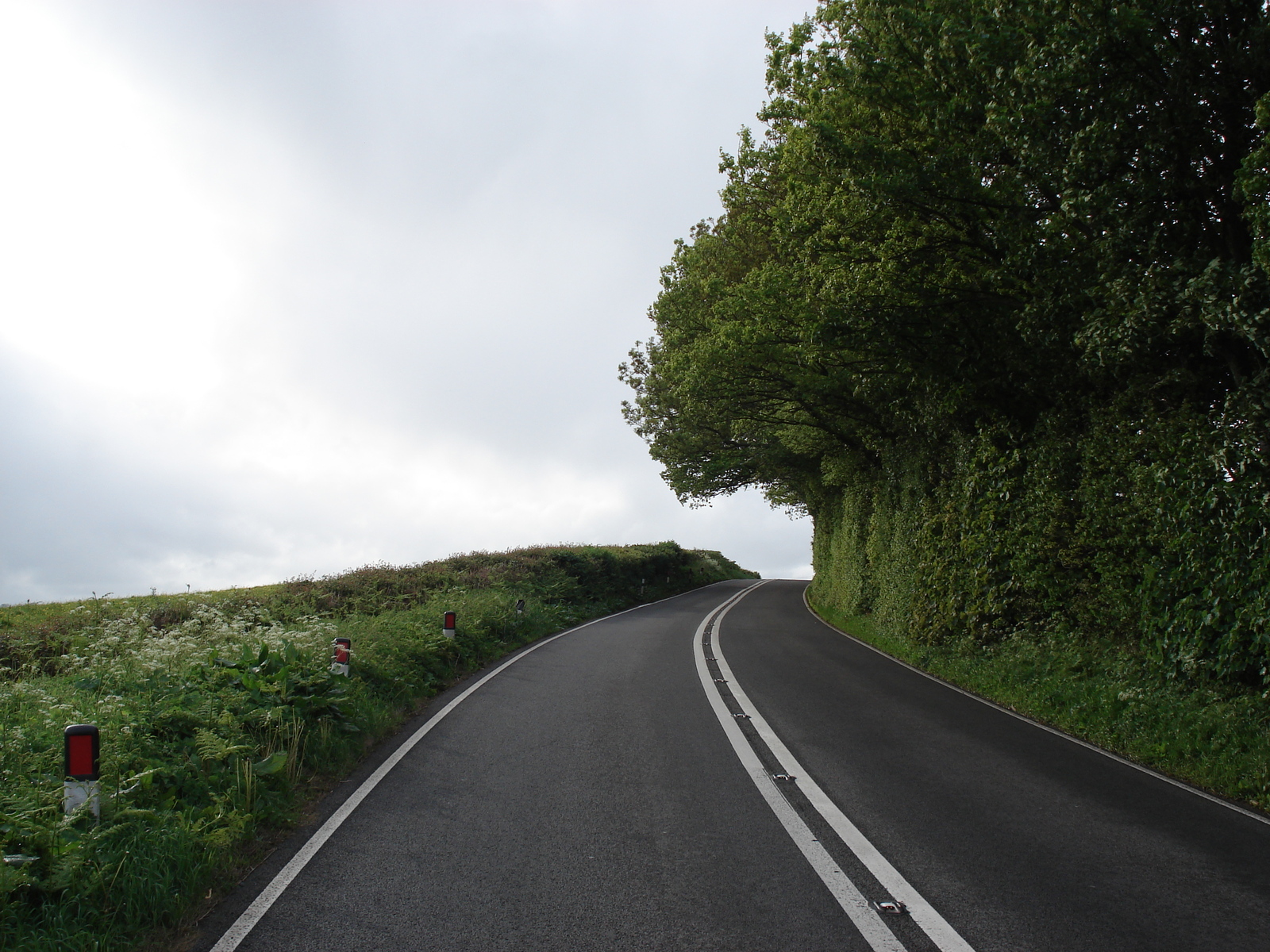 รูปถ่าย อังกฤษ(United Kingdom) อุทยานแห่งชาติเบรคอนบีคอนส์(Brecon Beacons National Park) 2006-05 111