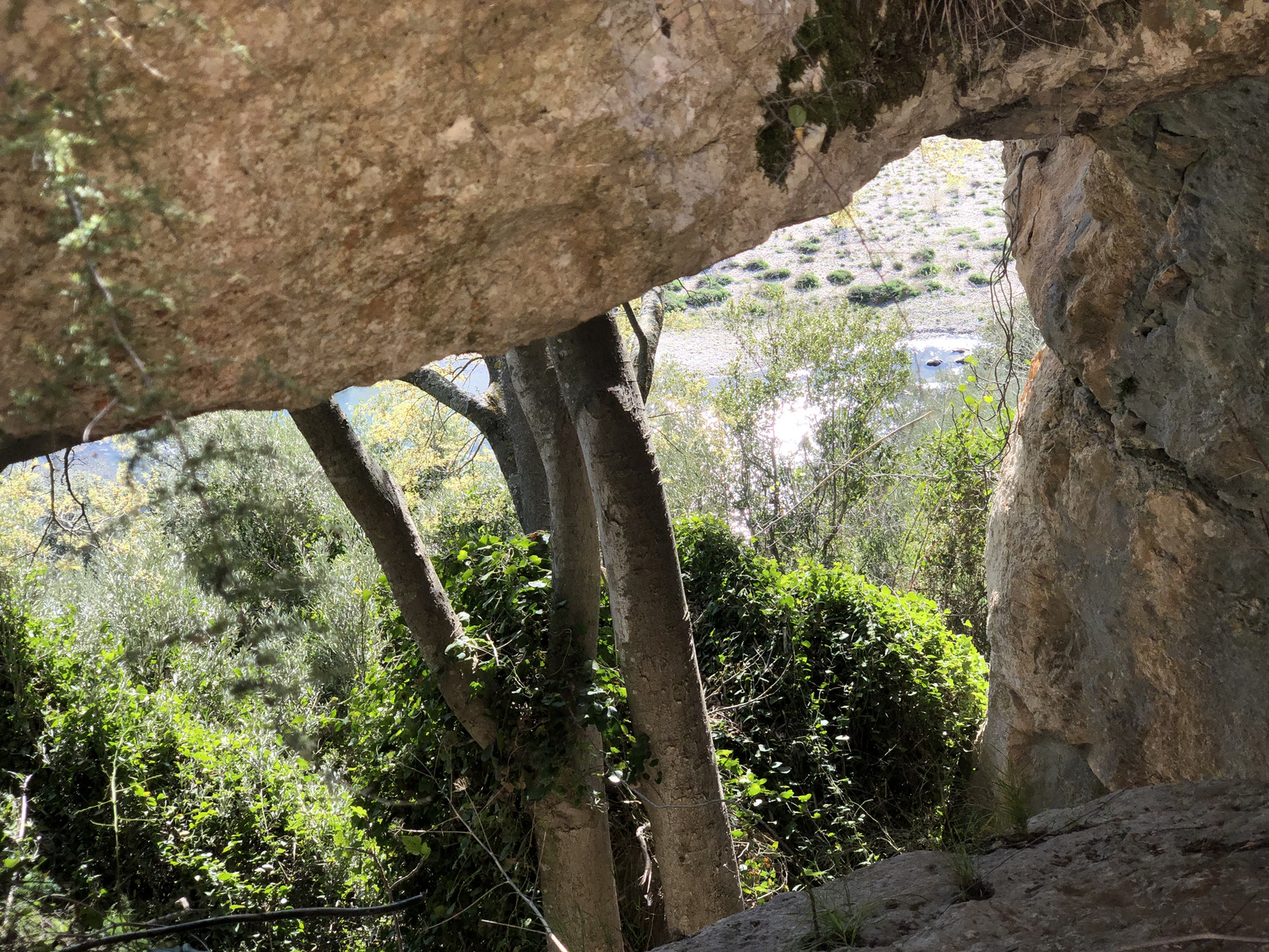 รูปถ่าย ฝรั่งเศส(France) นีเมอ(Nimes) 2021-05 30