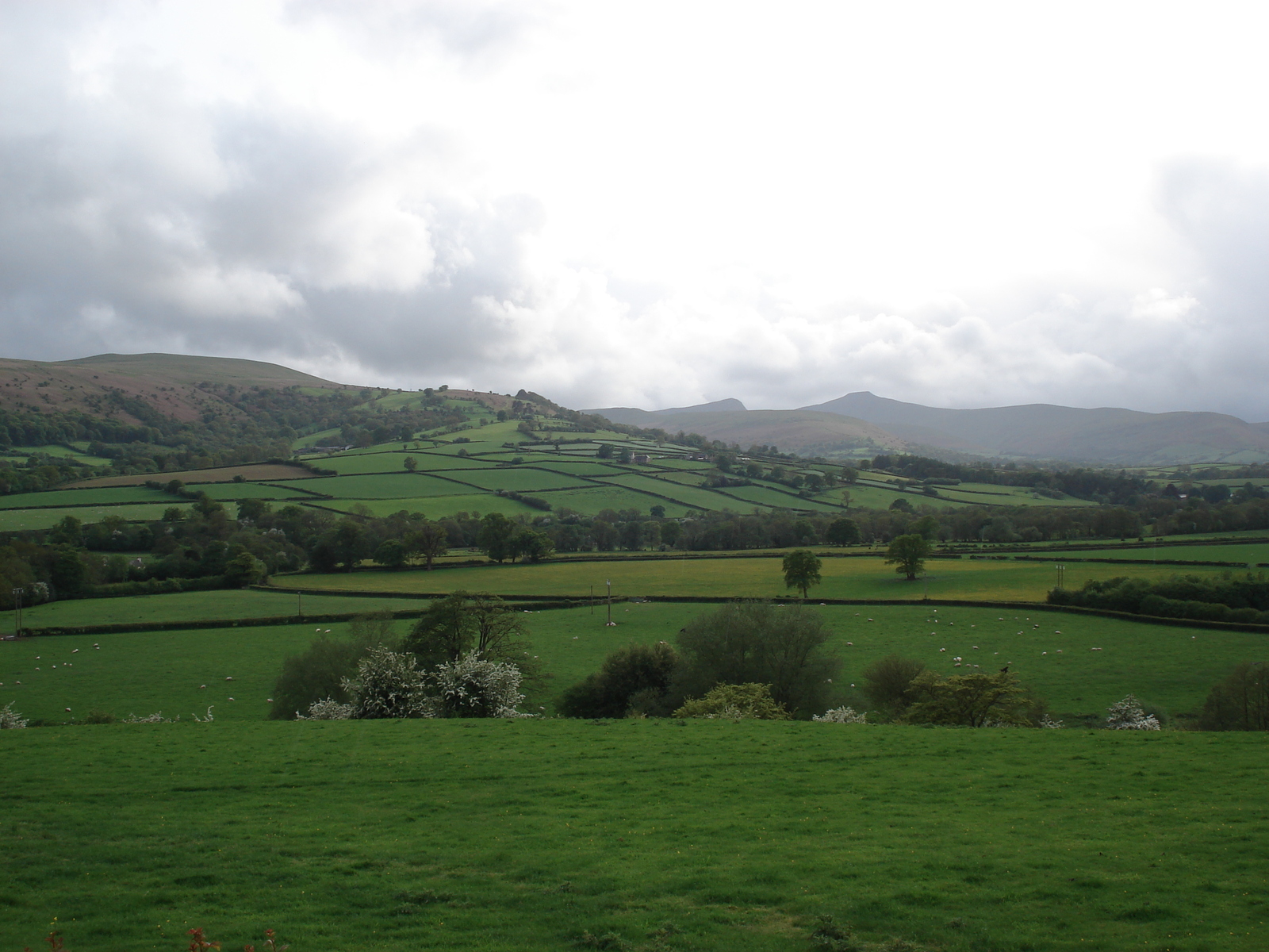 รูปถ่าย อังกฤษ(United Kingdom) อุทยานแห่งชาติเบรคอนบีคอนส์(Brecon Beacons National Park) 2006-05 106