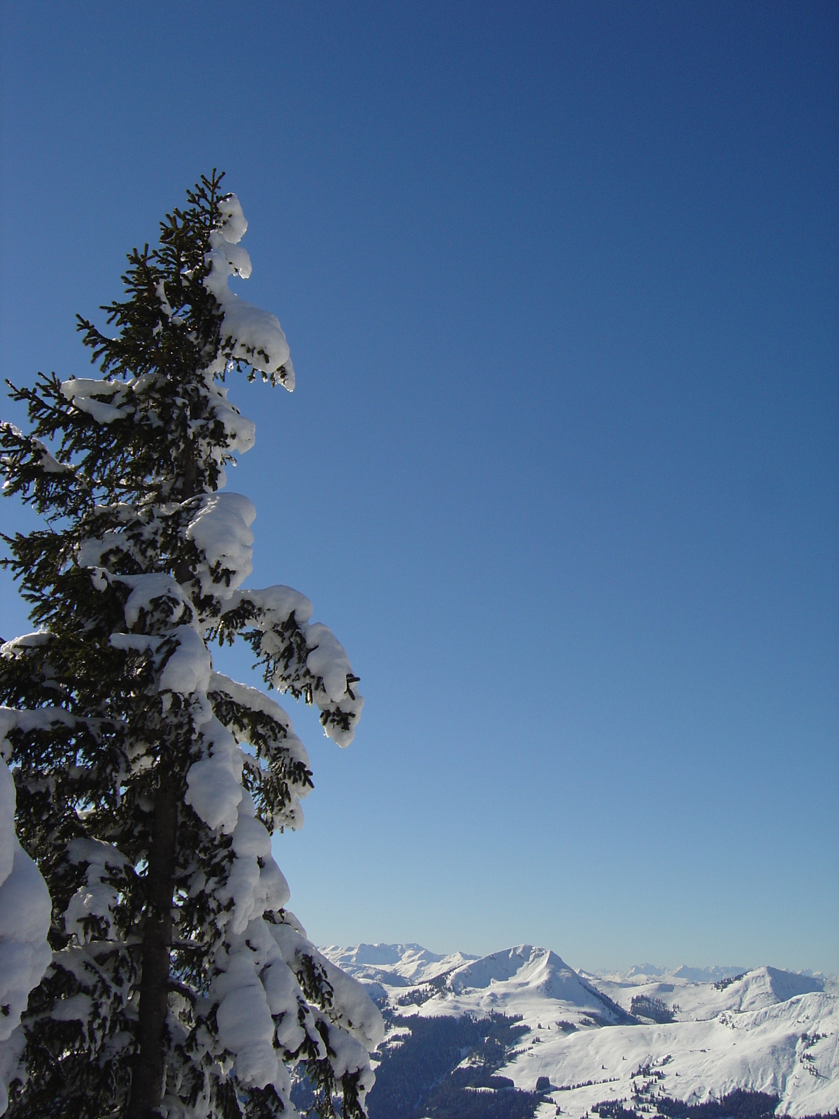 รูปถ่าย ออสเตรีย(Austria) คิทซ์บูเฮล(Kitzbuhel) สกี(Ski) 2005-03 111