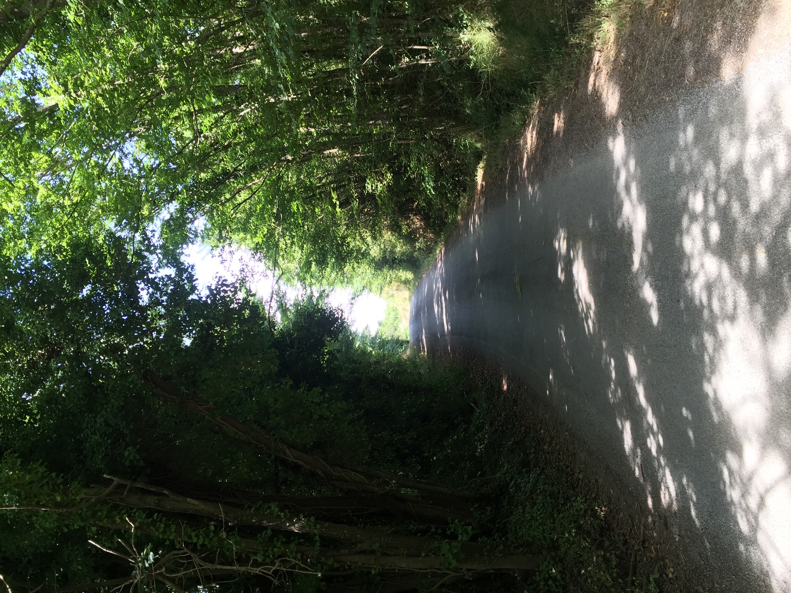 รูปถ่าย ฝรั่งเศส(France) เกาะแบล-อีล(Belle-Ile) 2016-08 174
