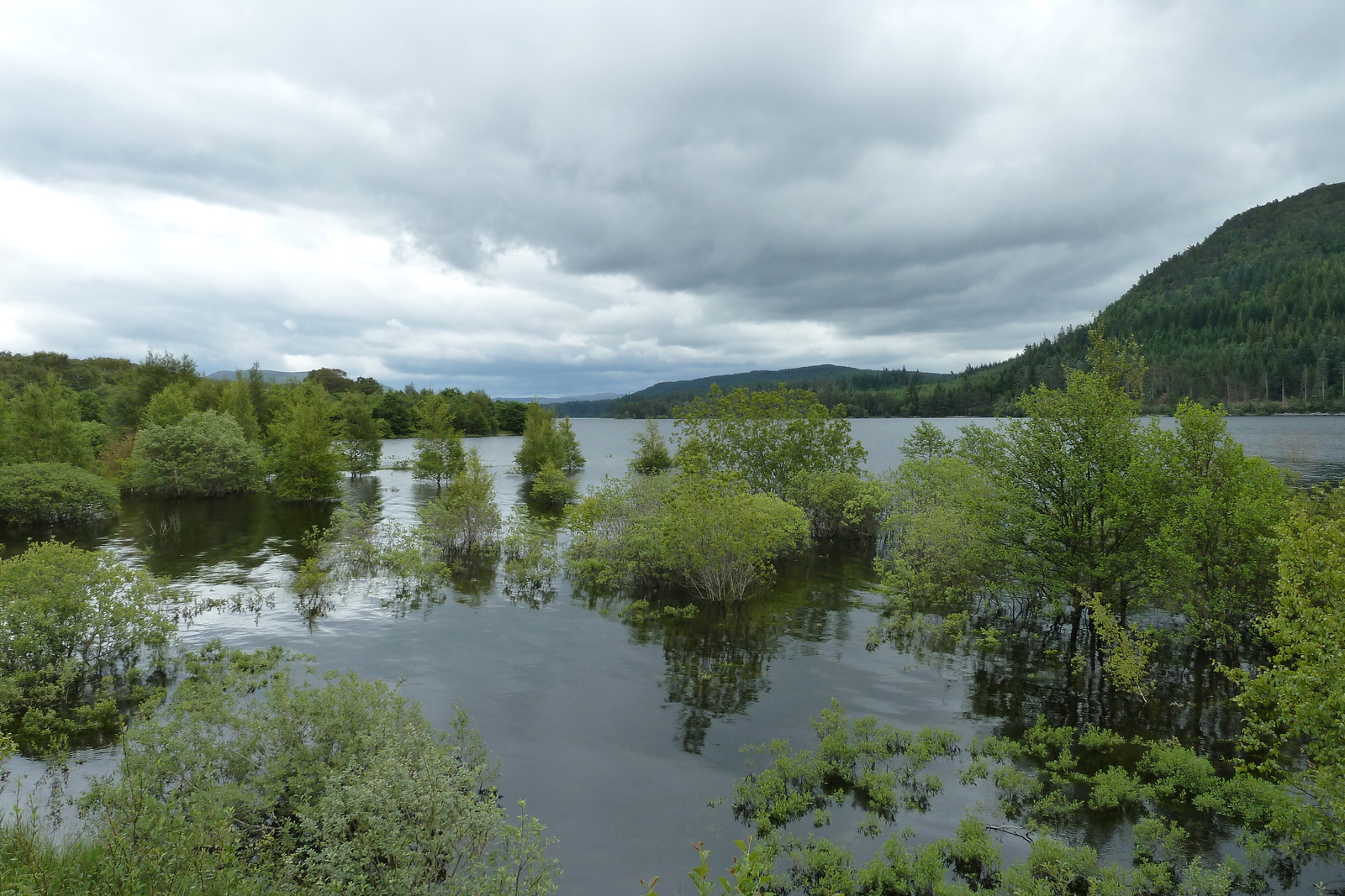 รูปถ่าย อังกฤษ(United Kingdom) สกอตแลนด์(Scotland) 2011-07 45