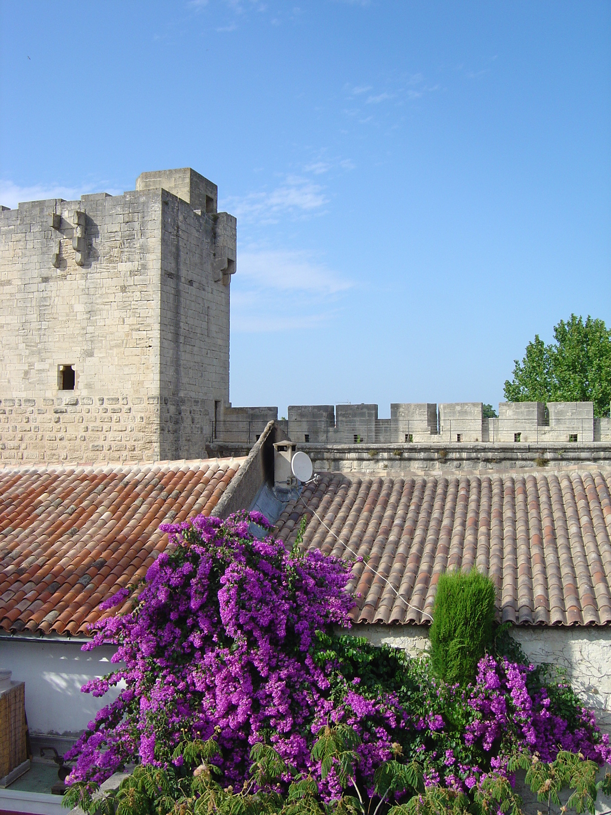 รูปถ่าย ฝรั่งเศส(France) แอก-มอร์ต(Aigues Mortes) โรงแรมเลเต็งปลีเย(Les Templiers Hotel) 2004-08 13