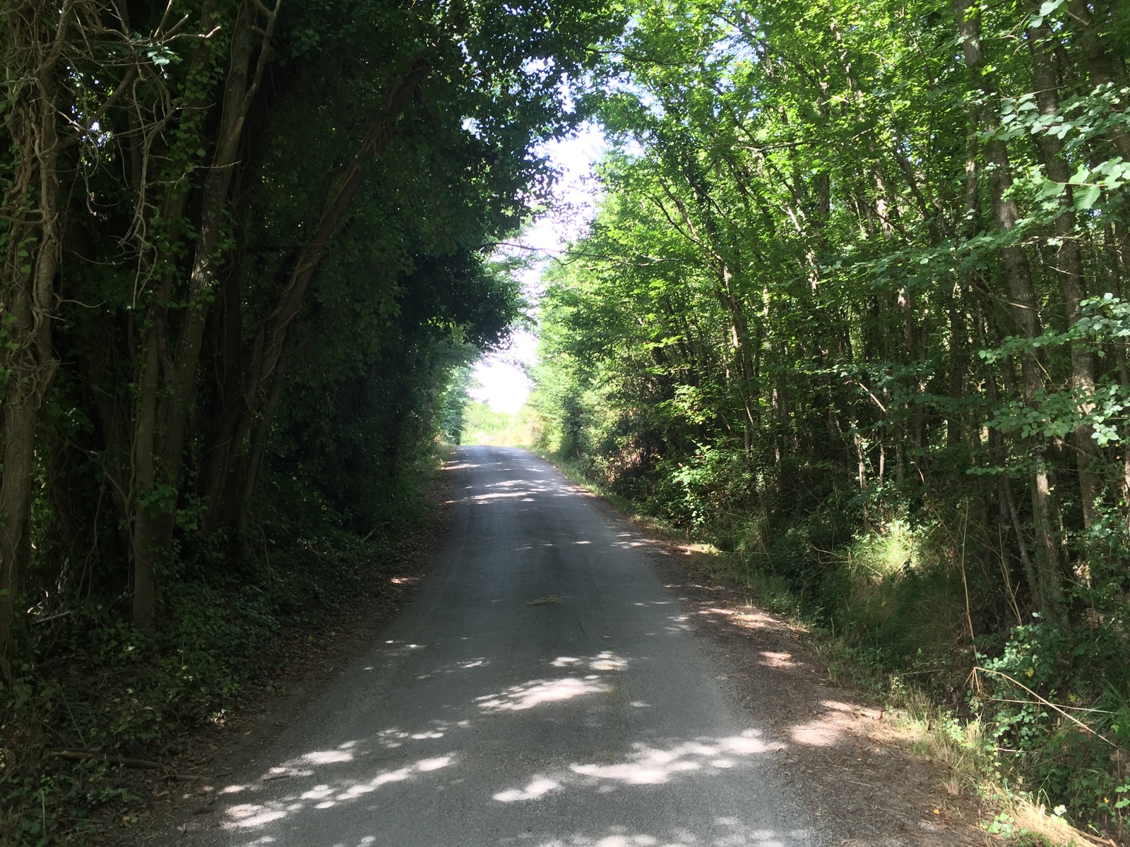 รูปถ่าย ฝรั่งเศส(France) เกาะแบล-อีล(Belle-Ile) 2016-08 176