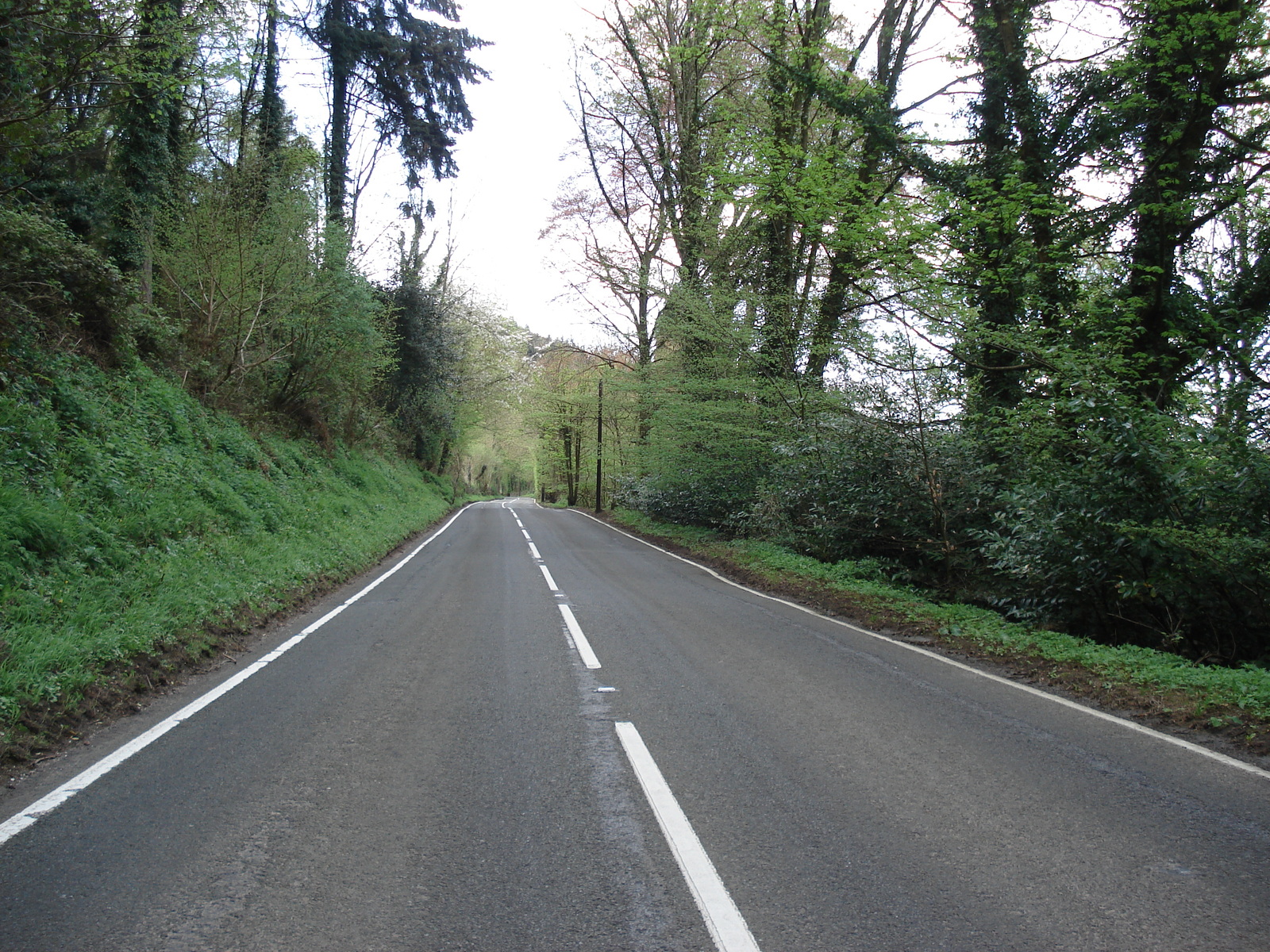 รูปถ่าย อังกฤษ(United Kingdom) หุบเขาไวย์(Wye Valley) 2006-05 46