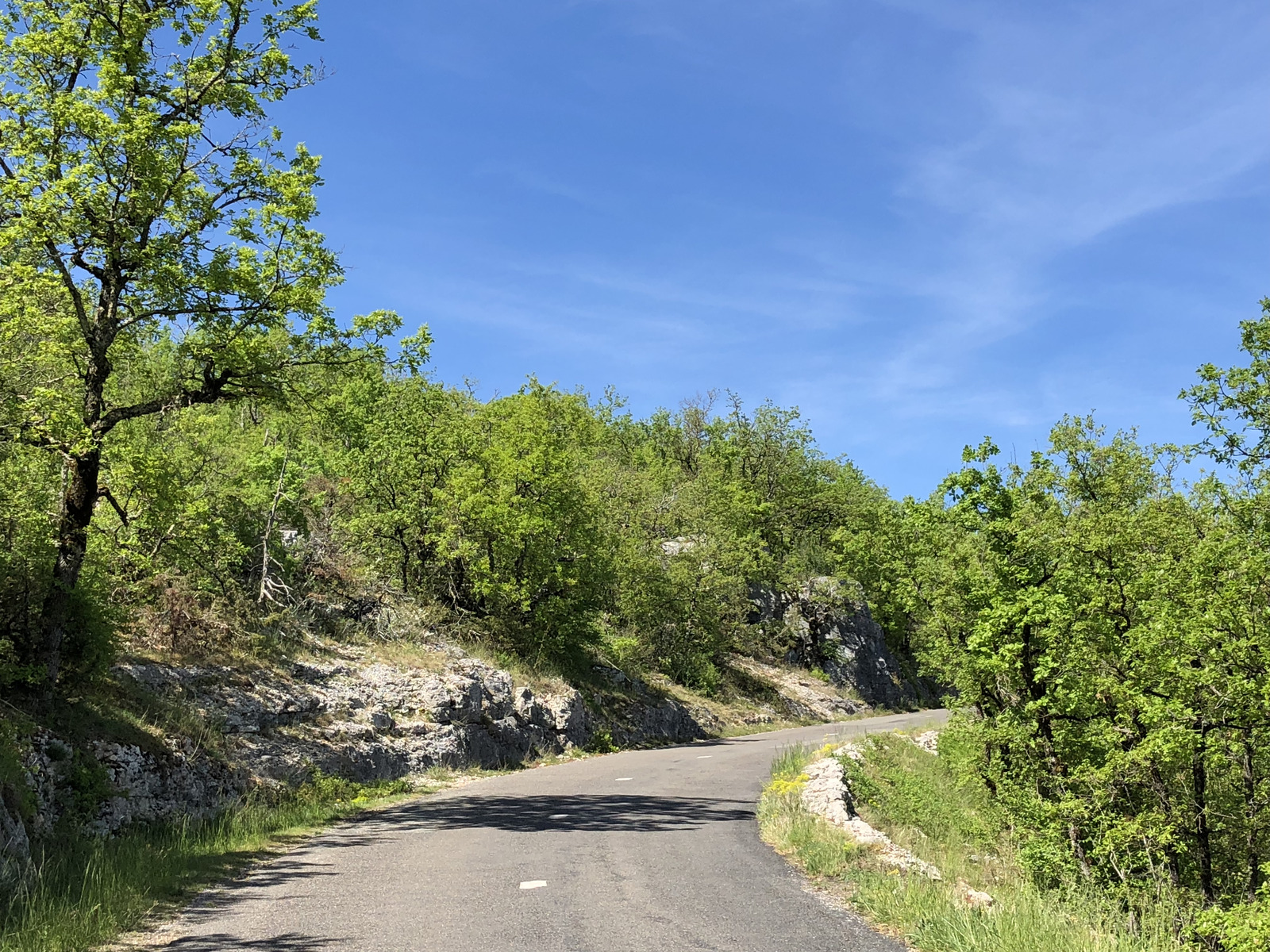 รูปถ่าย ฝรั่งเศส(France) ฟลัวรัก(Floirac) 2018-04 35