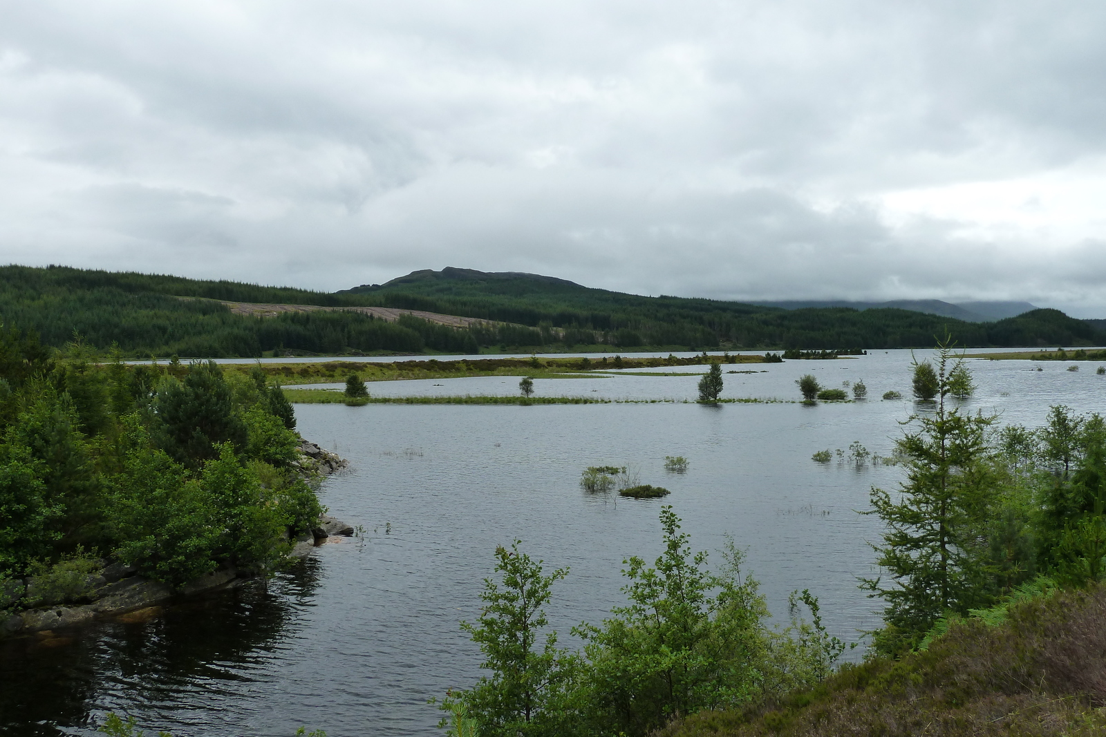 รูปถ่าย อังกฤษ(United Kingdom) สกอตแลนด์(Scotland) ถนนจากเอวีมอร์ไปทะเลสาบลอคลากัน(Aviemore to Loch Laggan road) 2011-07 10