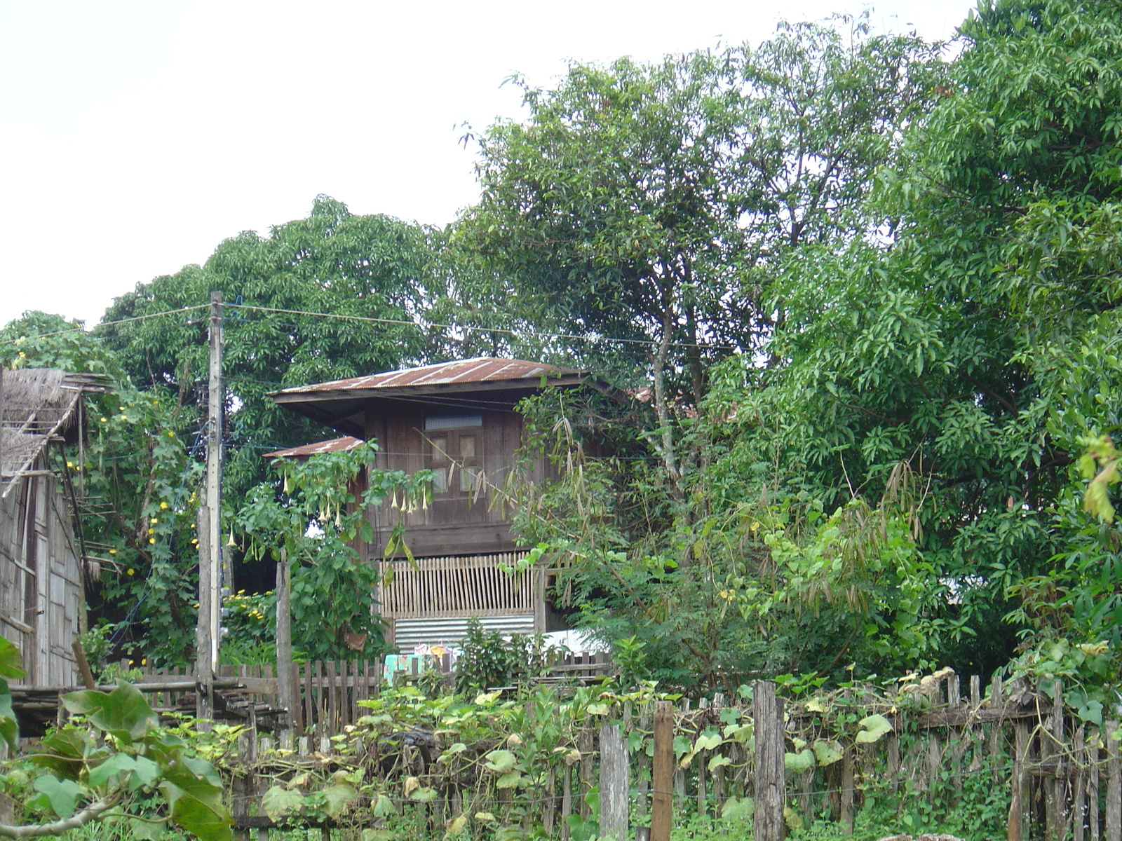 รูปถ่าย ไทย(Thailand) แม่ฮ่องสอน(Mae Hong Son) 2004-10 3