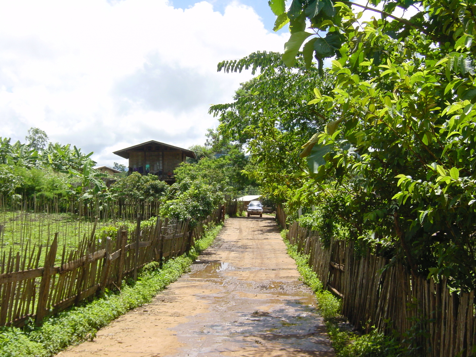 รูปถ่าย ไทย(Thailand) แม่ฮ่องสอน(Mae Hong Son) 2003-07 58