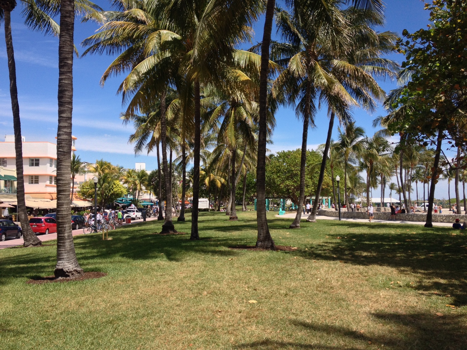 รูปถ่าย สหรัฐอเมริกา(United States) ไมแอมีบีช(Miami Beach) 2015-03 29