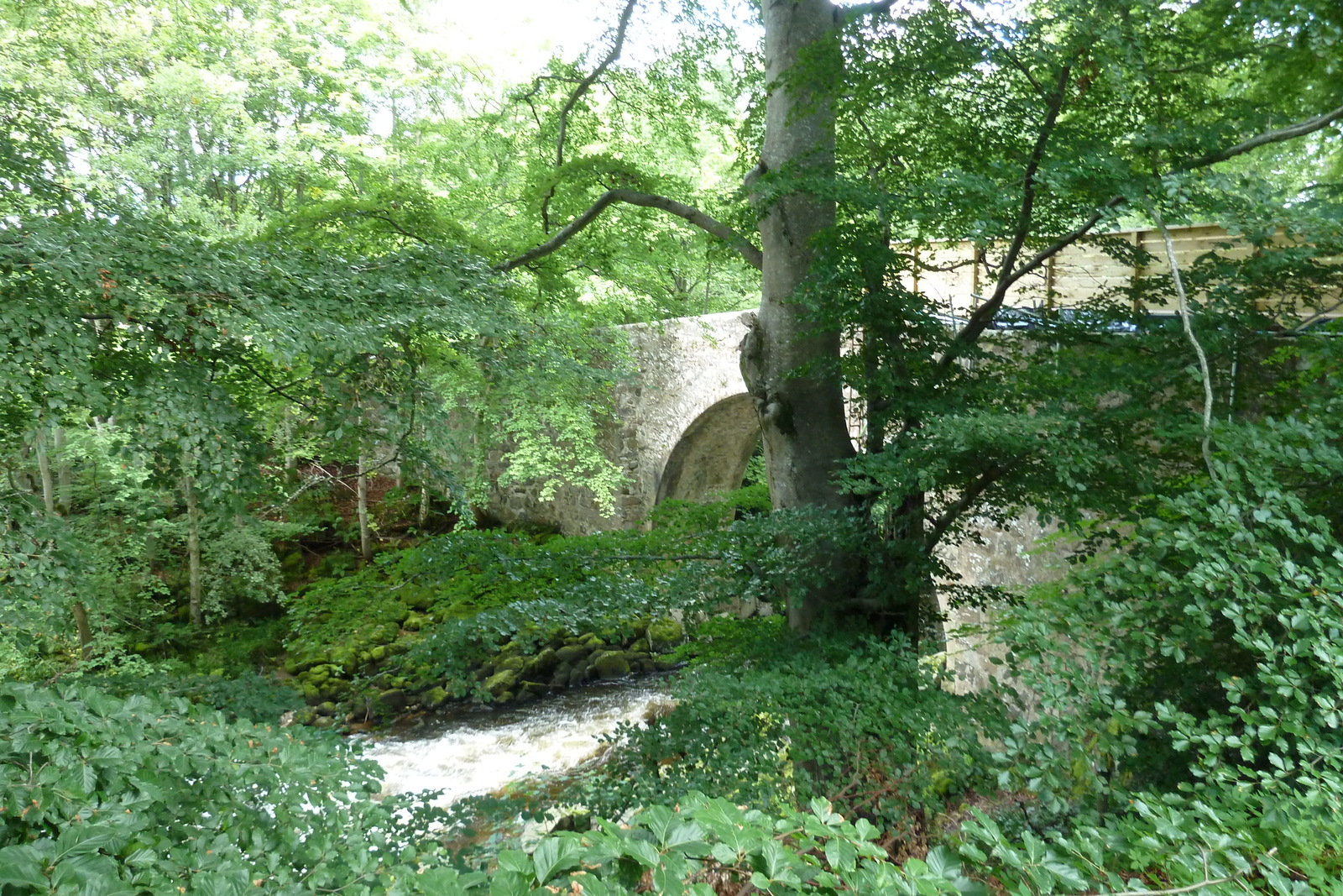 รูปถ่าย อังกฤษ(United Kingdom) สกอตแลนด์(Scotland) ฮันต์ลี(Huntly) 2011-07 15