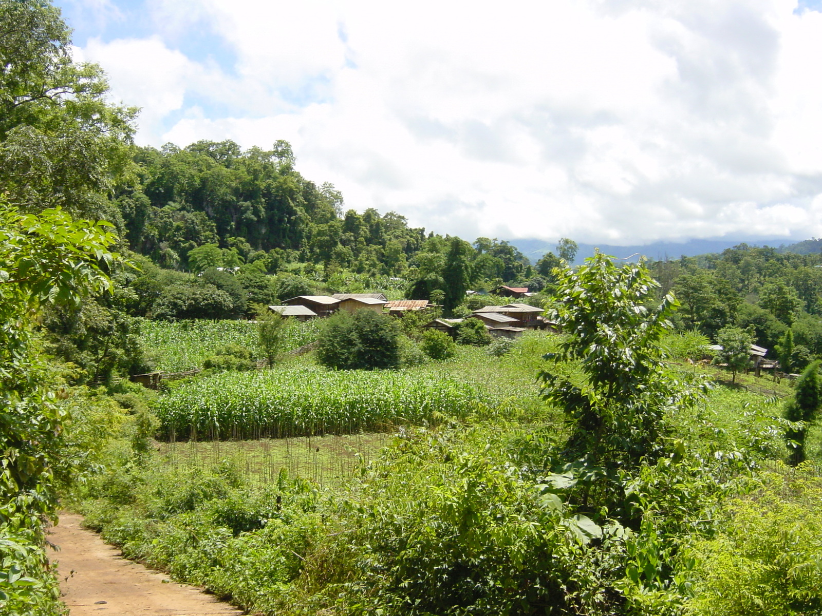 รูปถ่าย ไทย(Thailand) แม่ฮ่องสอน(Mae Hong Son) 2003-07 78