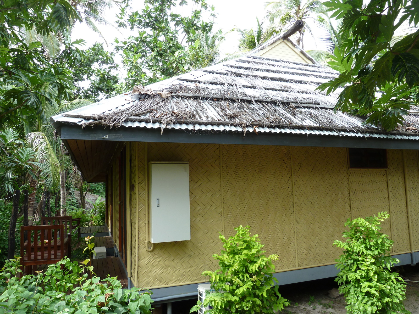 รูปถ่าย ฟิจิ(Fiji) รีสอร์ตเกาะอามูนูกา(Amunuca Island Resort) 2010-05 36