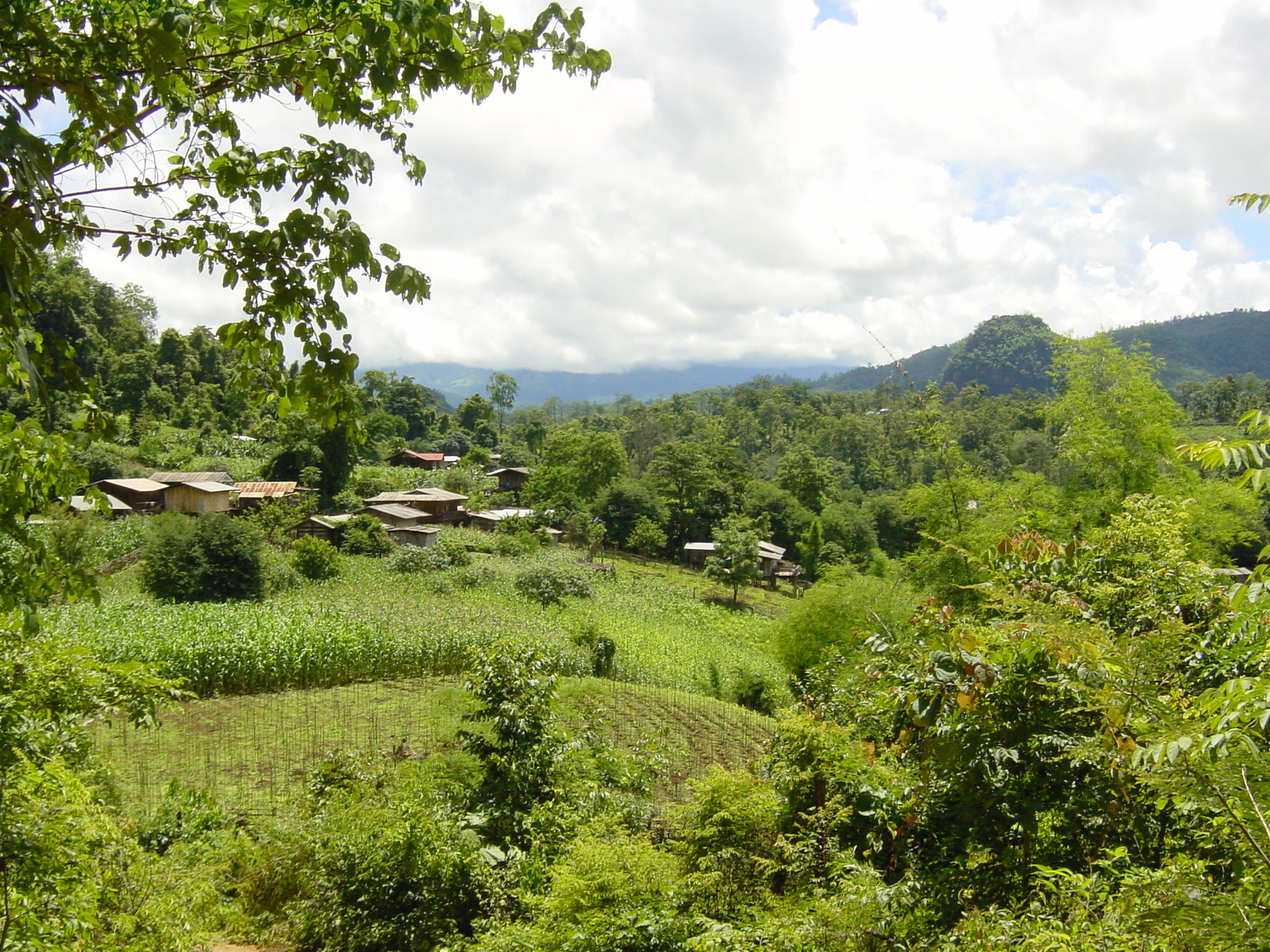 รูปถ่าย ไทย(Thailand) แม่ฮ่องสอน(Mae Hong Son) 2003-07 45