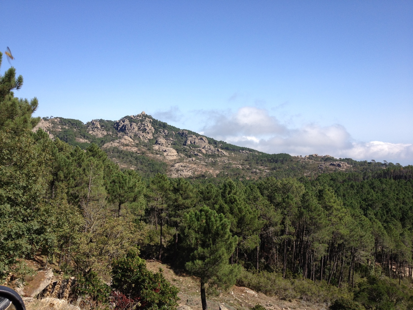 รูปถ่าย ฝรั่งเศส(France) คอร์สิคา(Corsica) ป่าลอสเปดาเล(L'ospedale Forest) 2012-09 1