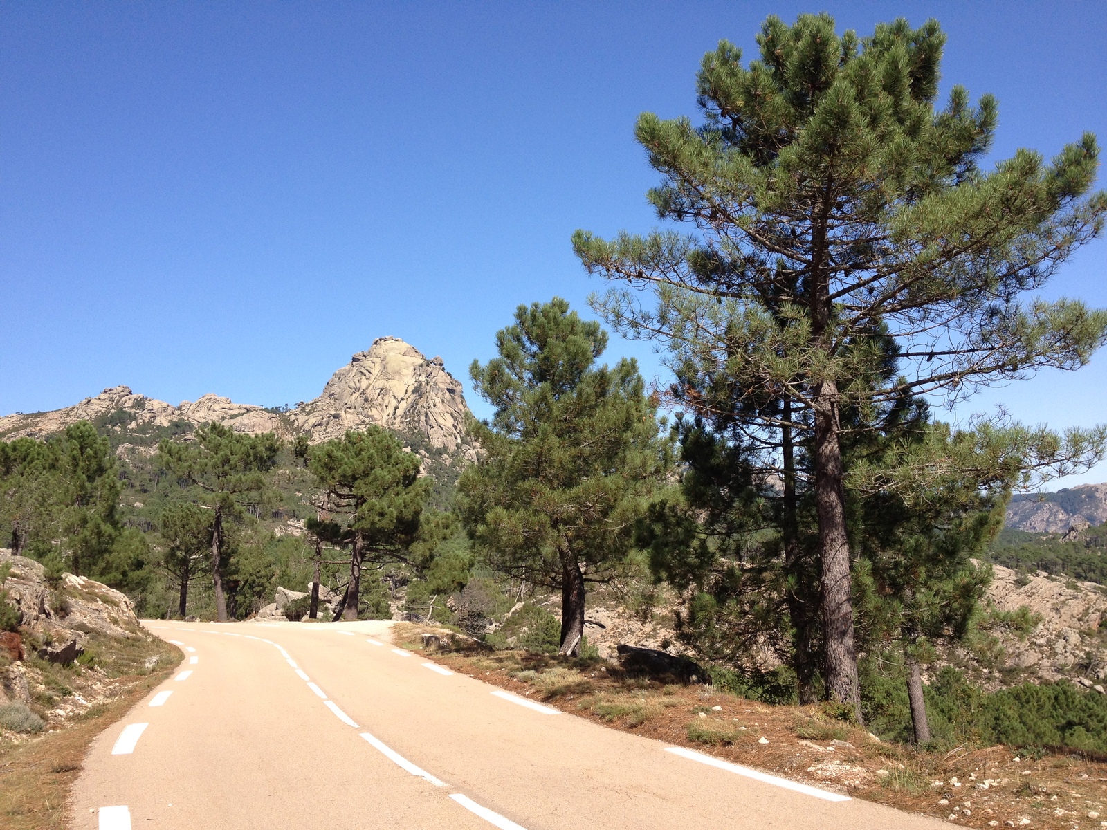 รูปถ่าย ฝรั่งเศส(France) คอร์สิคา(Corsica) ป่าลอสเปดาเล(L'ospedale Forest) 2012-09 51