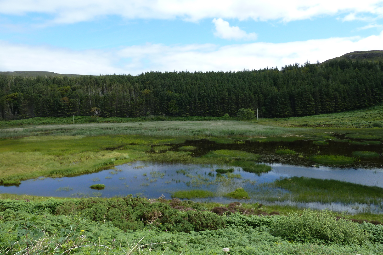 รูปถ่าย อังกฤษ(United Kingdom) เกาะสกาย(Skye) 2011-07 145