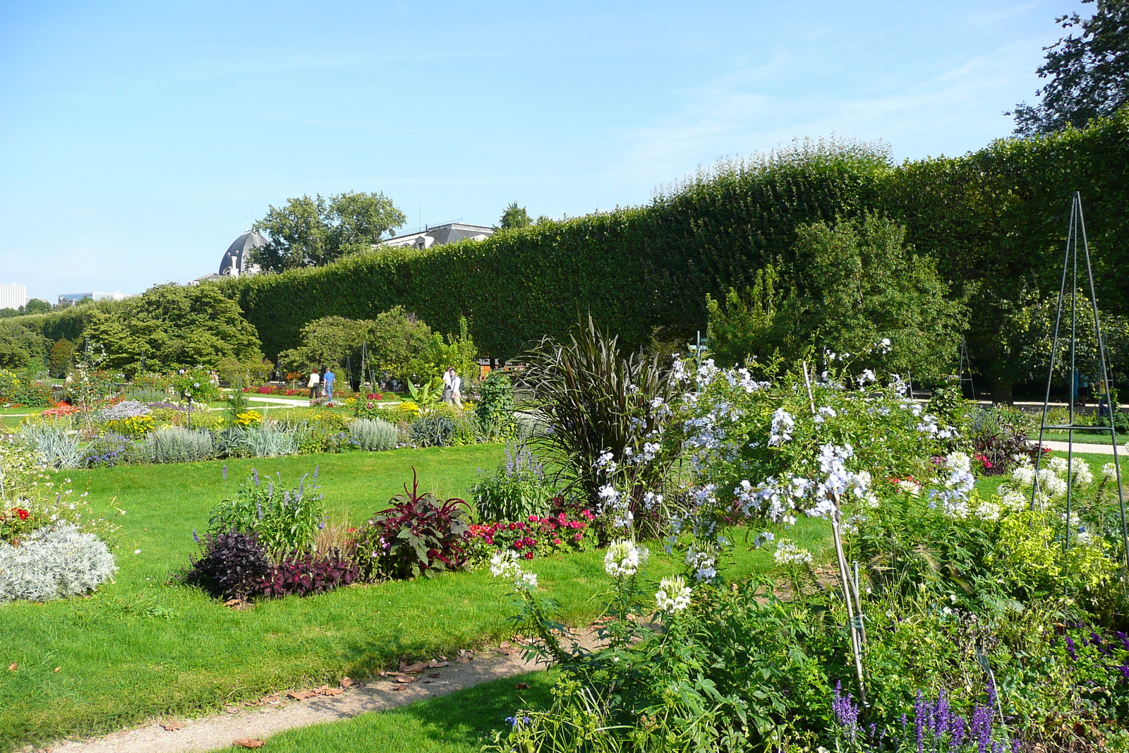 รูปถ่าย ฝรั่งเศส(France) ปารีส(Paris) สวนพันธ์ุพืช(Jardin des Plantes) 2007-08 211