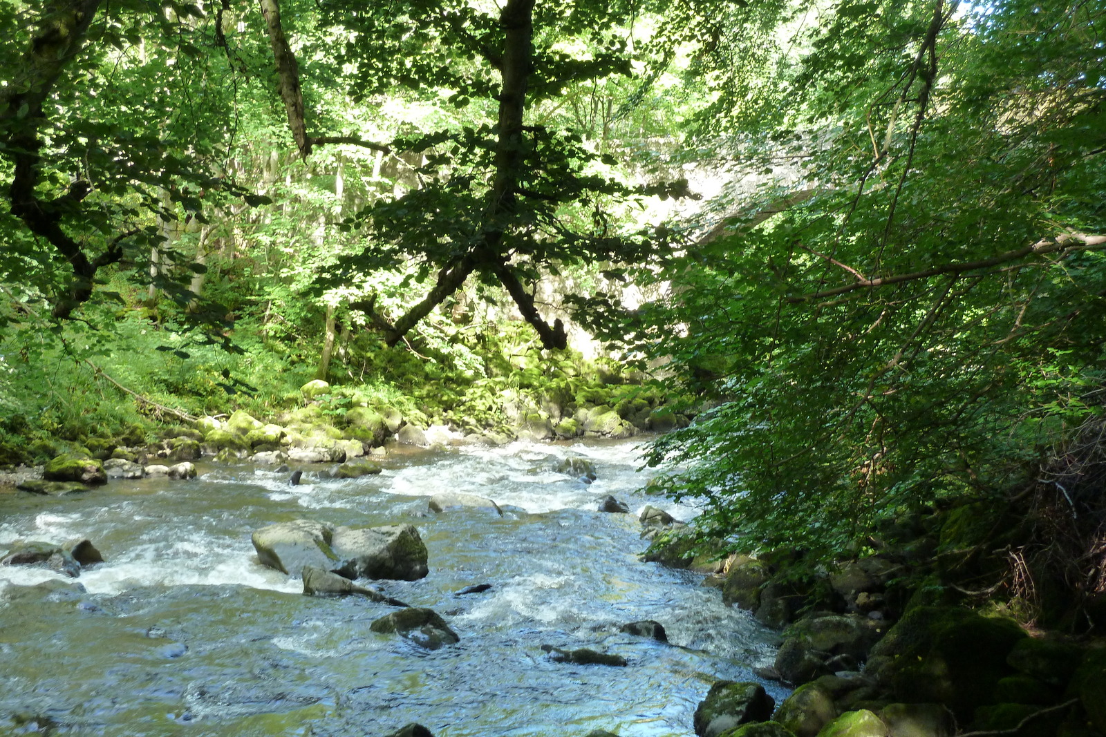 รูปถ่าย อังกฤษ(United Kingdom) สกอตแลนด์(Scotland) ฮันต์ลี(Huntly) 2011-07 4