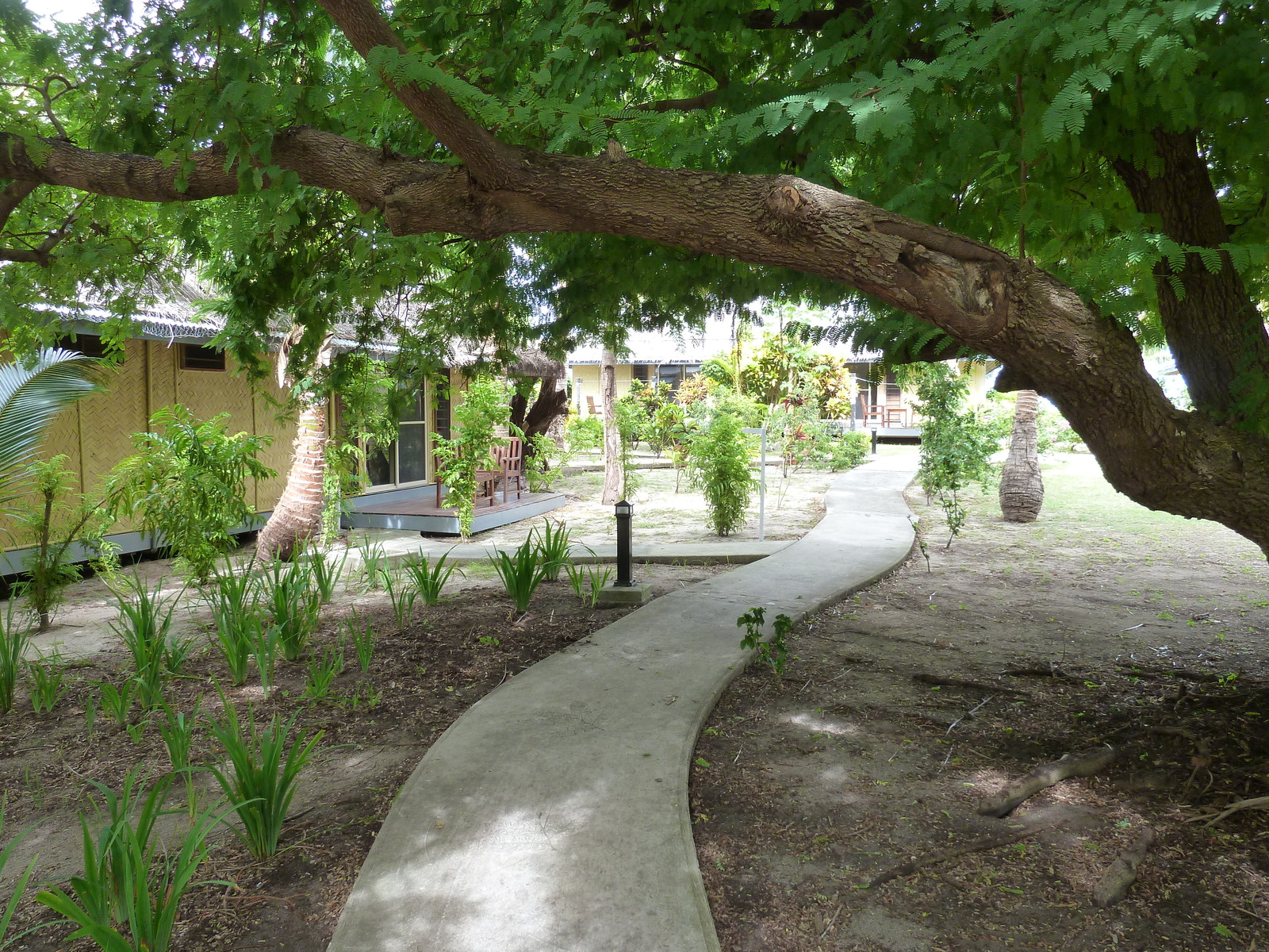 รูปถ่าย ฟิจิ(Fiji) รีสอร์ตเกาะอามูนูกา(Amunuca Island Resort) 2010-05 151