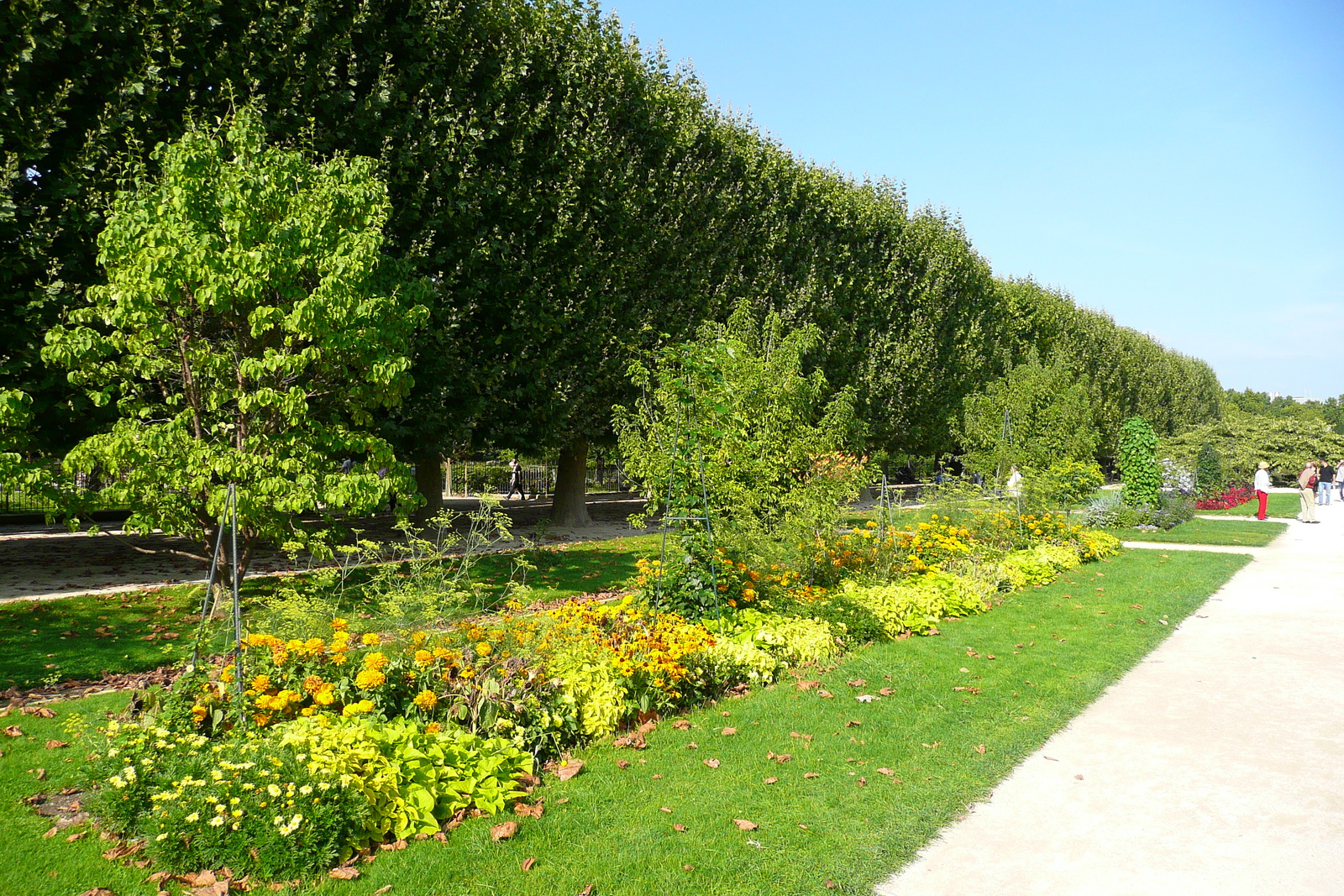 รูปถ่าย ฝรั่งเศส(France) ปารีส(Paris) สวนพันธ์ุพืช(Jardin des Plantes) 2007-08 208